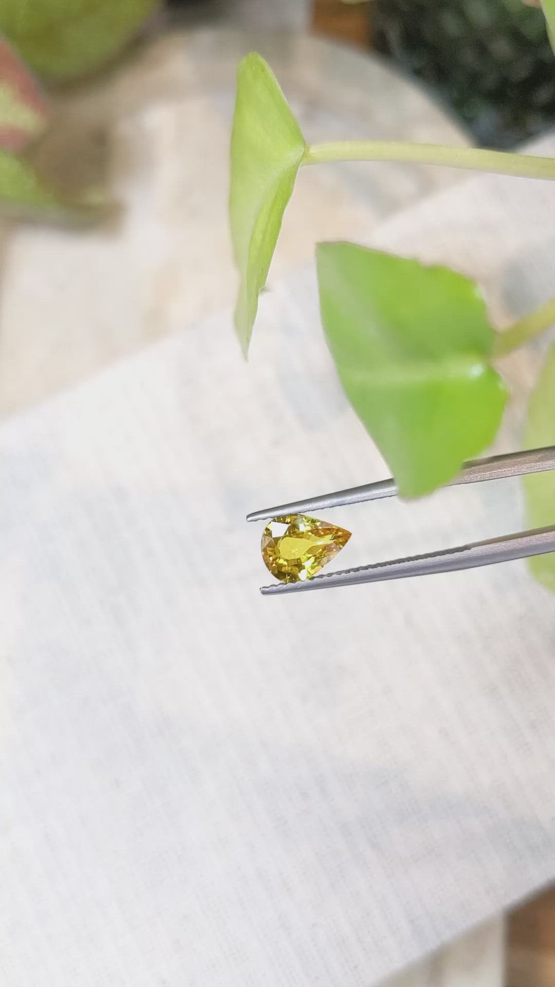 1.64 Ct. Yellow Sapphire from Ceylon (Sri Lanka) Size Video