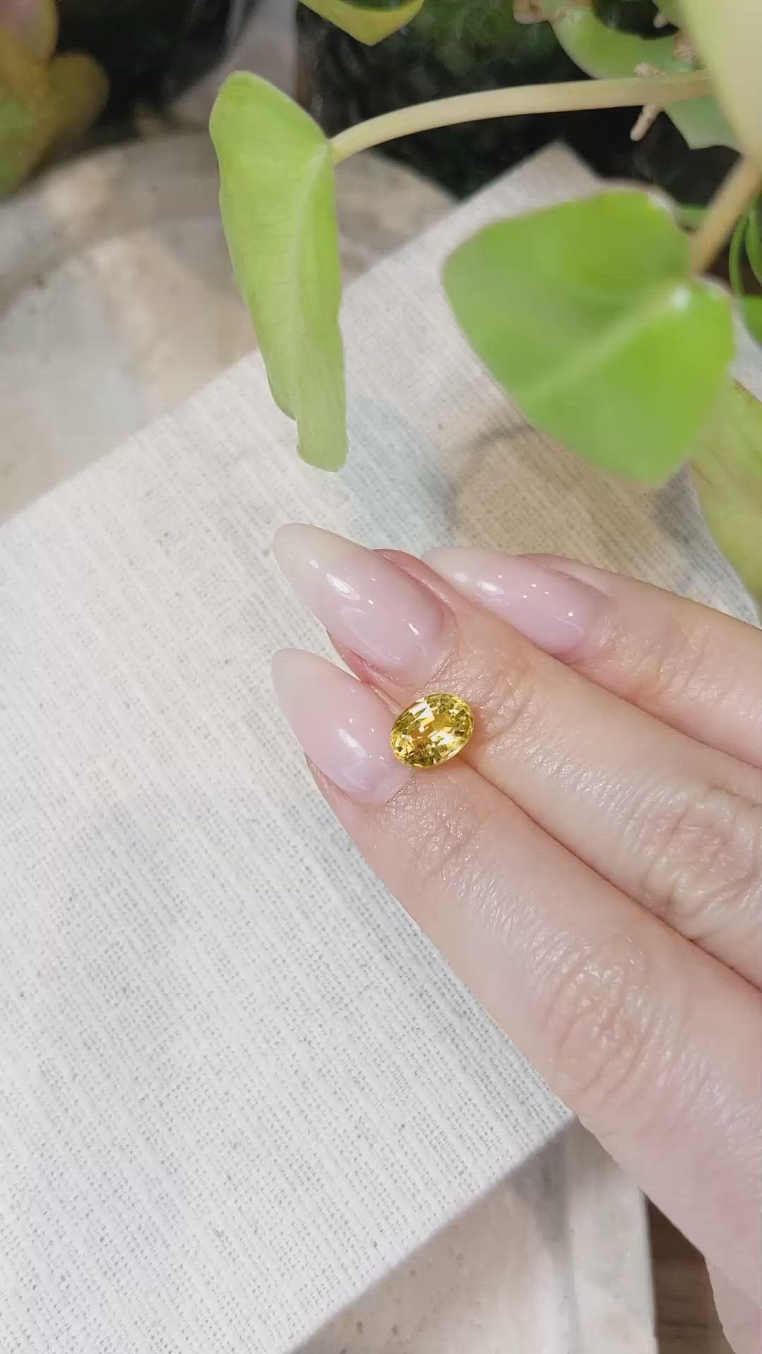 2.33 Ct. Yellow Sapphire from Ceylon (Sri Lanka) Size Video