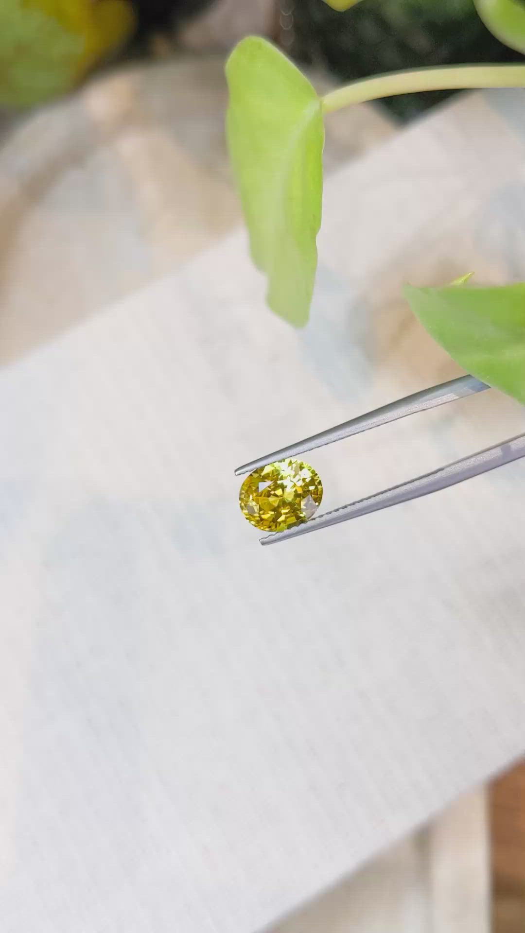 2.50 Ct. Yellow Sapphire from Ceylon (Sri Lanka) Size Video