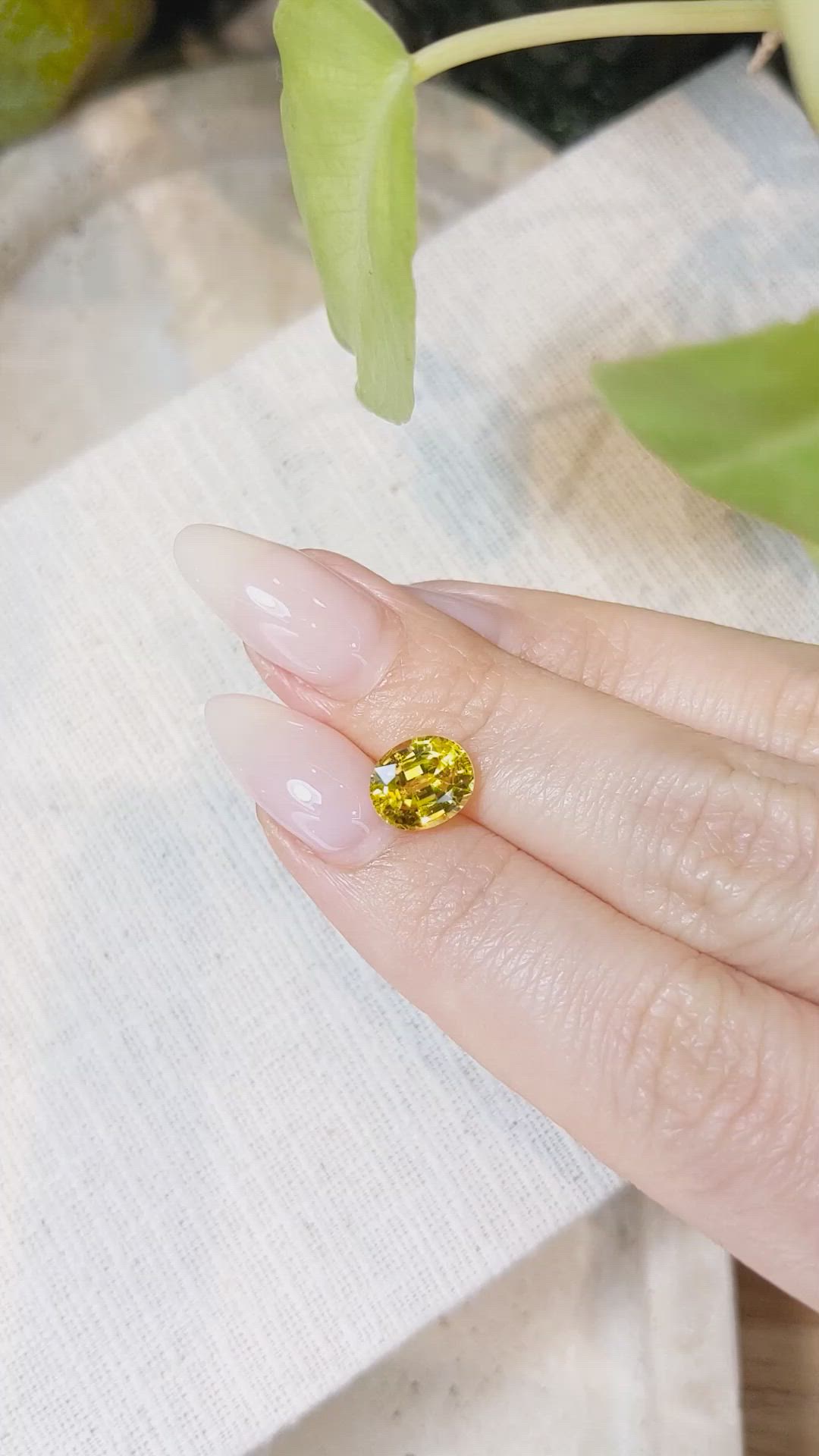 2.51 Ct. Yellow Sapphire from Ceylon (Sri Lanka) Size Video