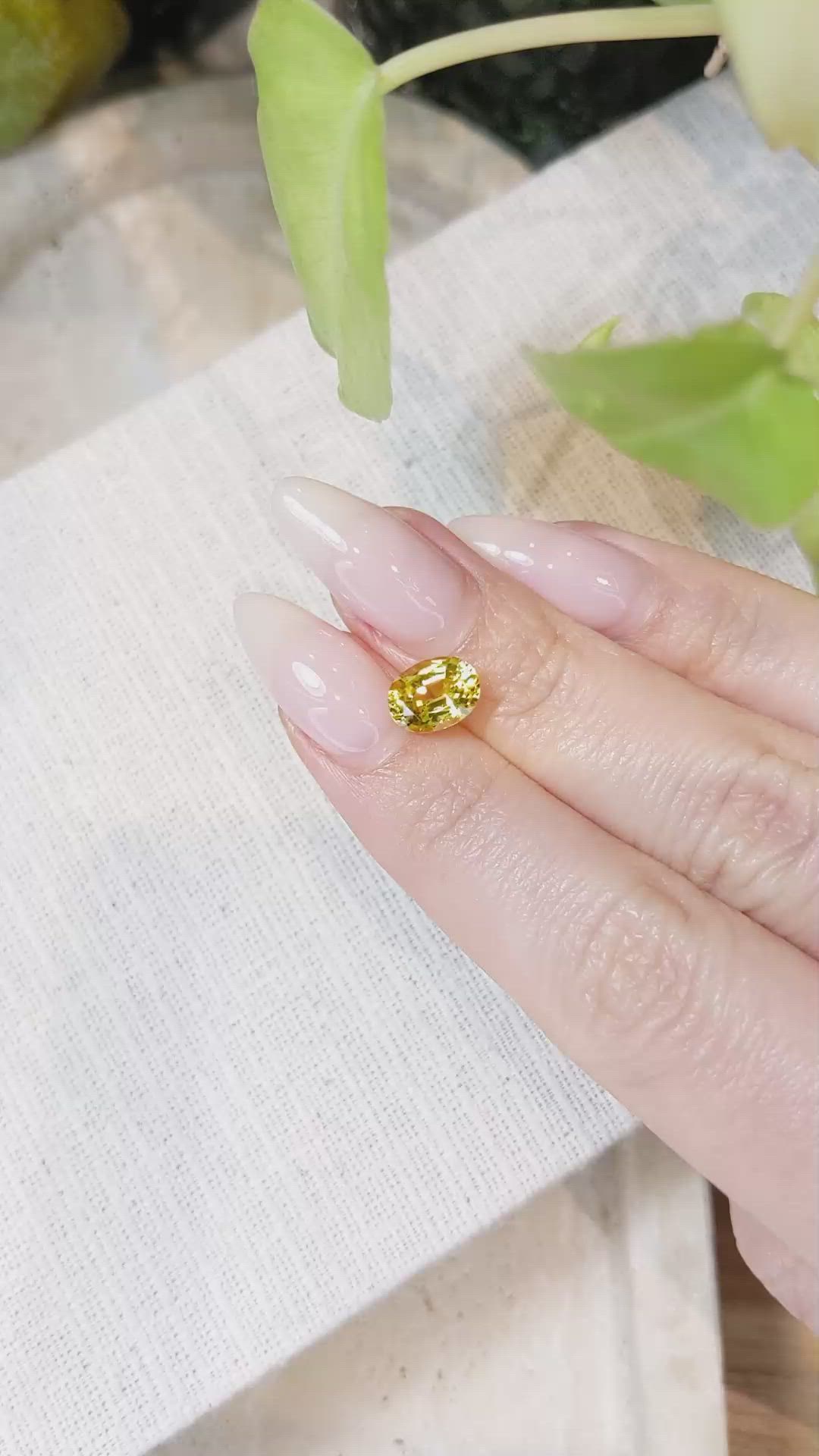 2.04 Ct. Yellow Sapphire from Ceylon (Sri Lanka) Size Video