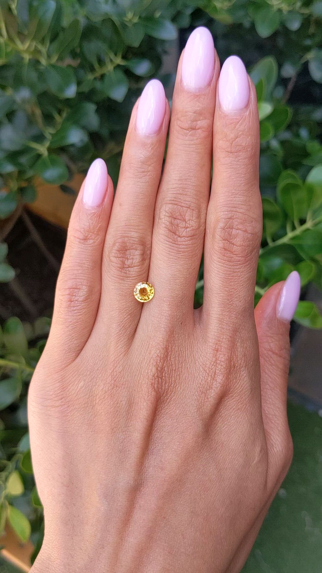 1.17 Ct. Yellowish Orange Sapphire from Ceylon (Sri Lanka) Size Video