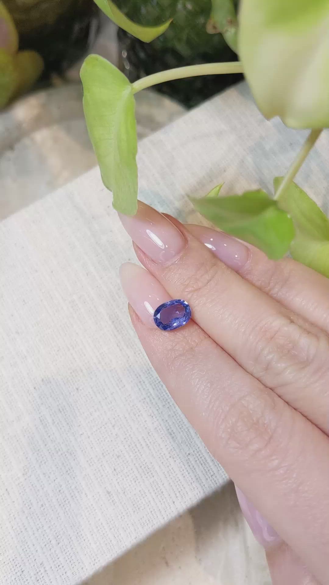 2.30 Ct. Blue Sapphire from Ceylon (Sri Lanka) Size Video