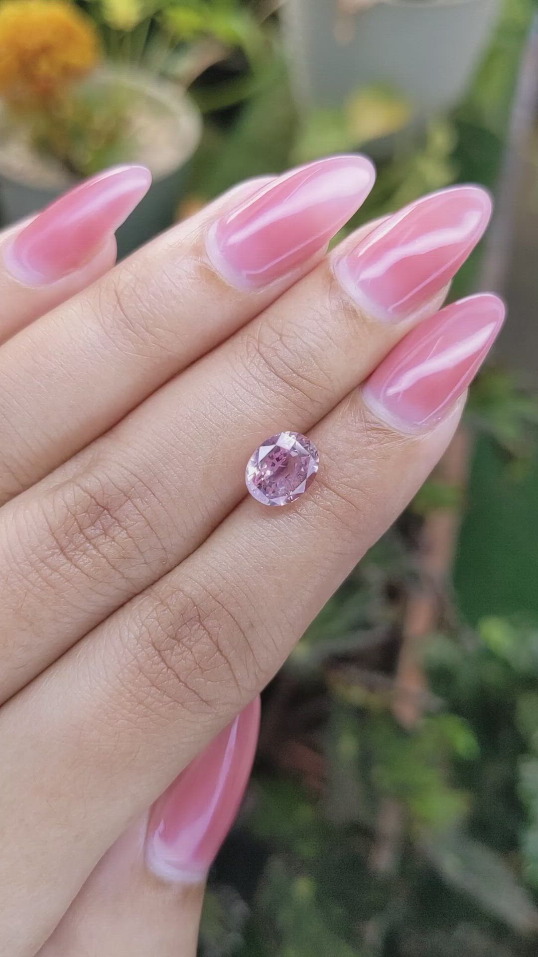 2.91 Ct. Pink Sapphire from Ceylon (Sri Lanka) Size Video