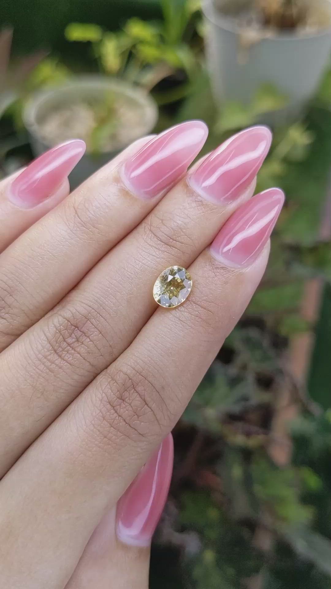 2.20 Ct. Yellow Sapphire from Ceylon (Sri Lanka) Size Video