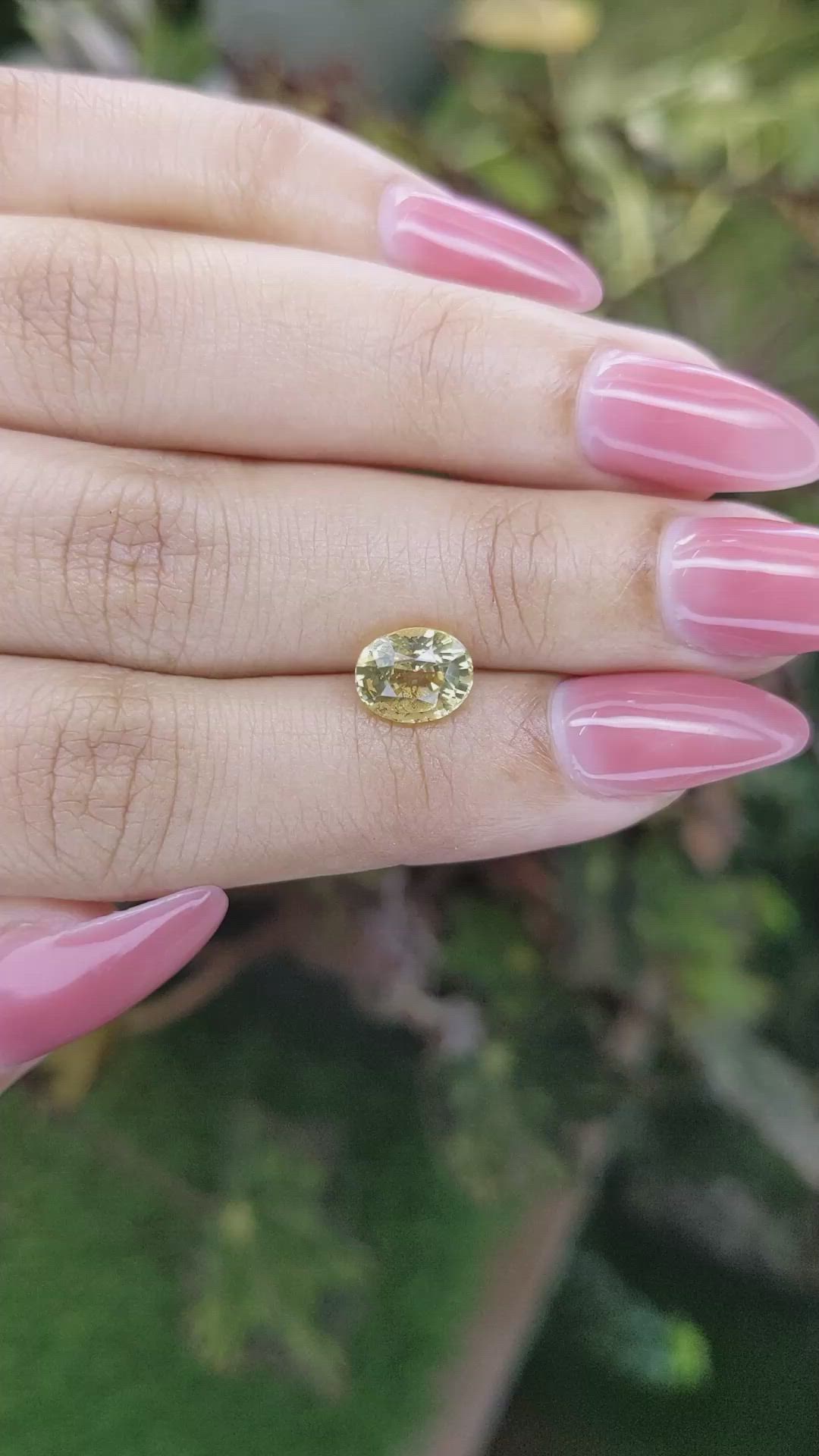 2.20 Ct. Yellow Sapphire from Ceylon (Sri Lanka) Size Video