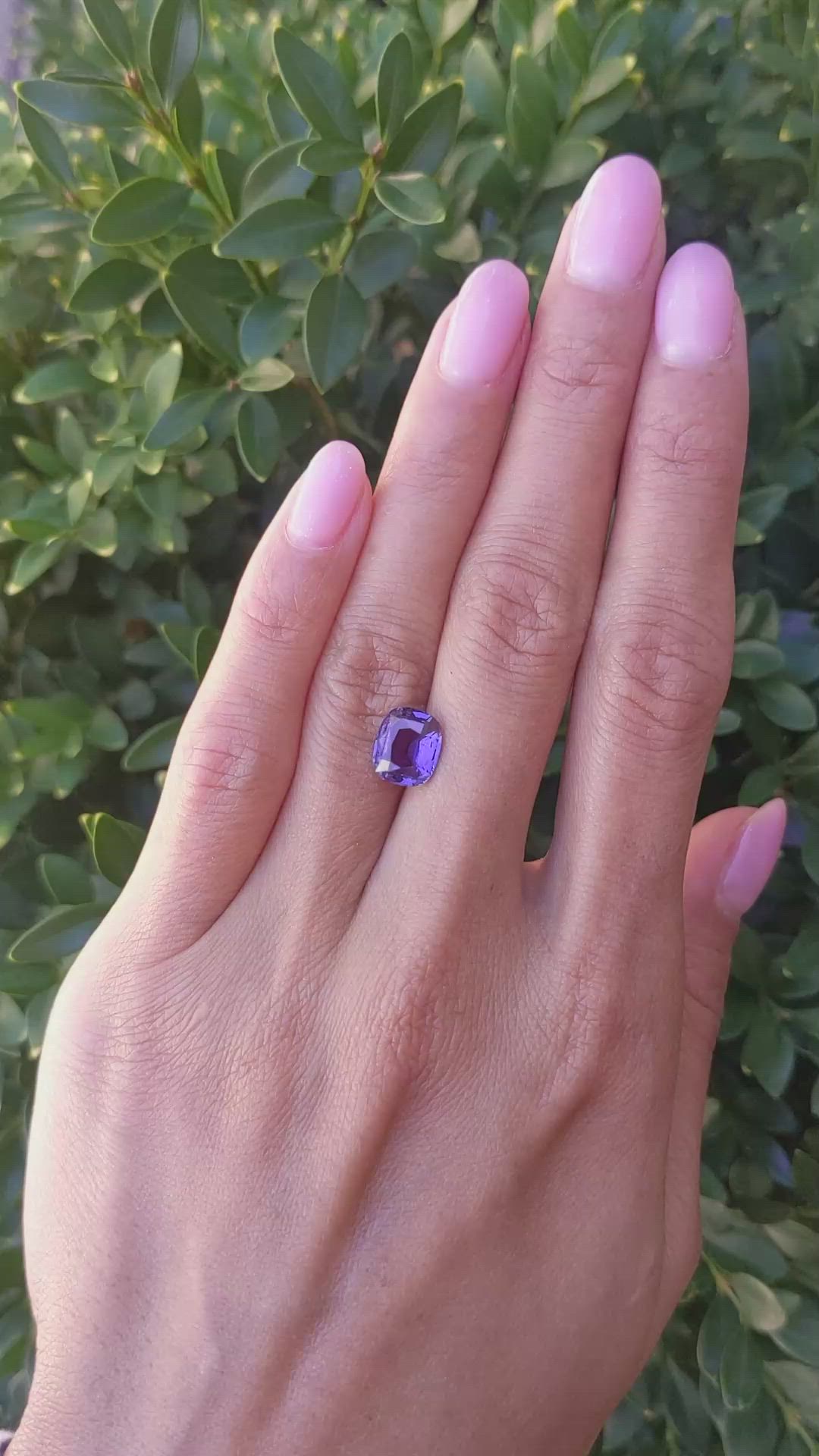 3.03 Ct. Purple Sapphire from Ceylon (Sri Lanka) Size Video