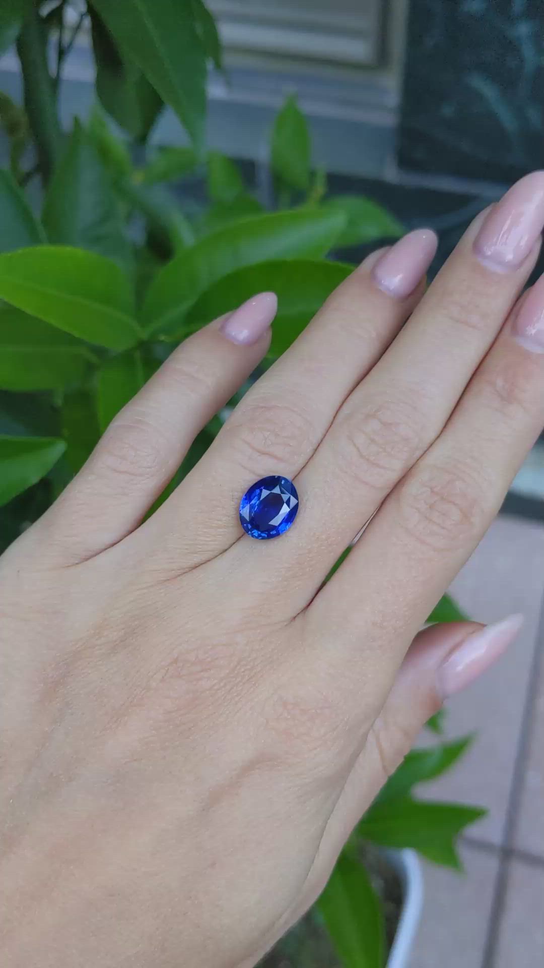 4.05 Ct. Blue Sapphire from Ceylon (Sri Lanka) Size Video