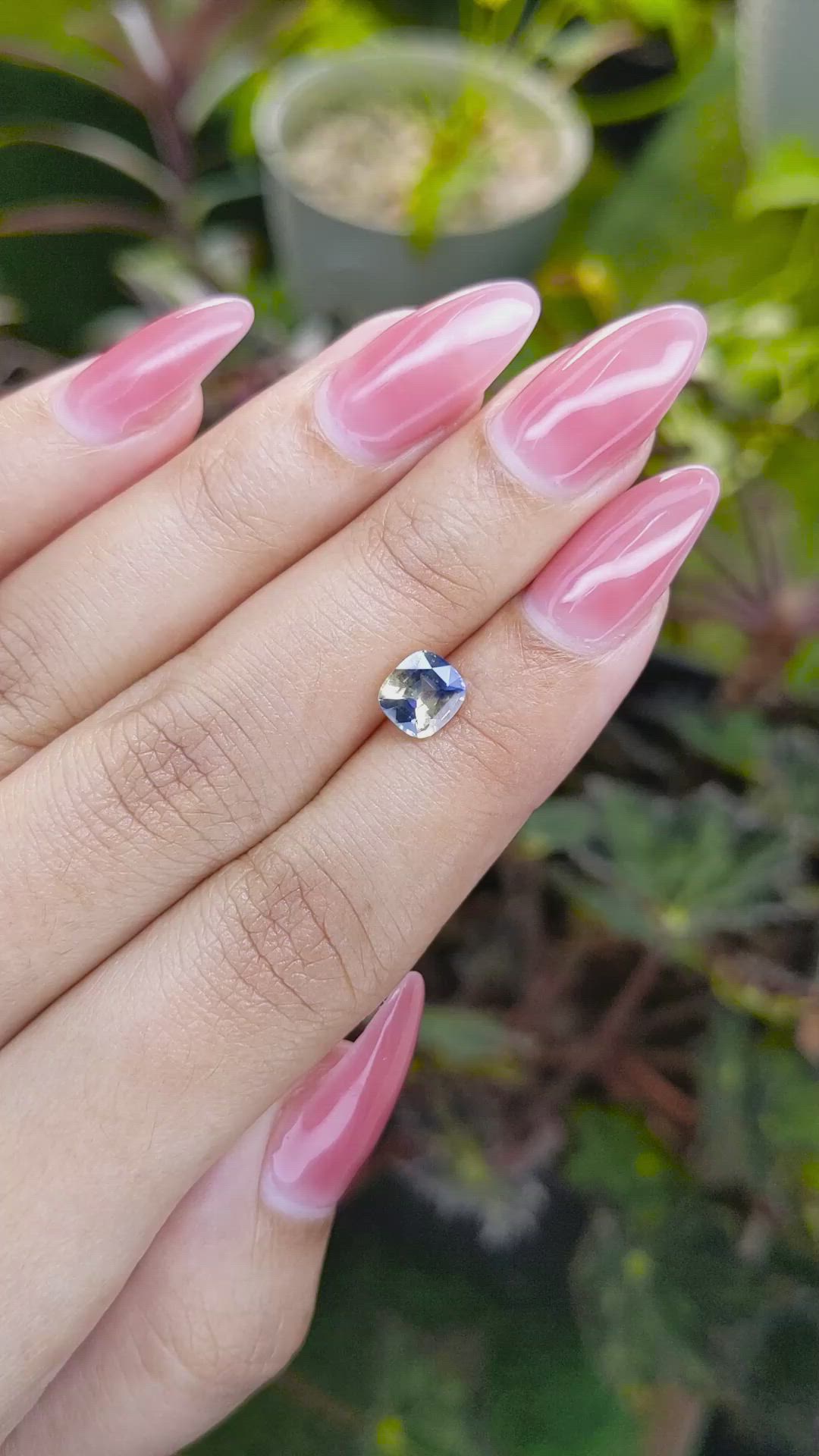 1.27 Ct. Bi Color Sapphire from Ceylon (Sri Lanka) Size Video