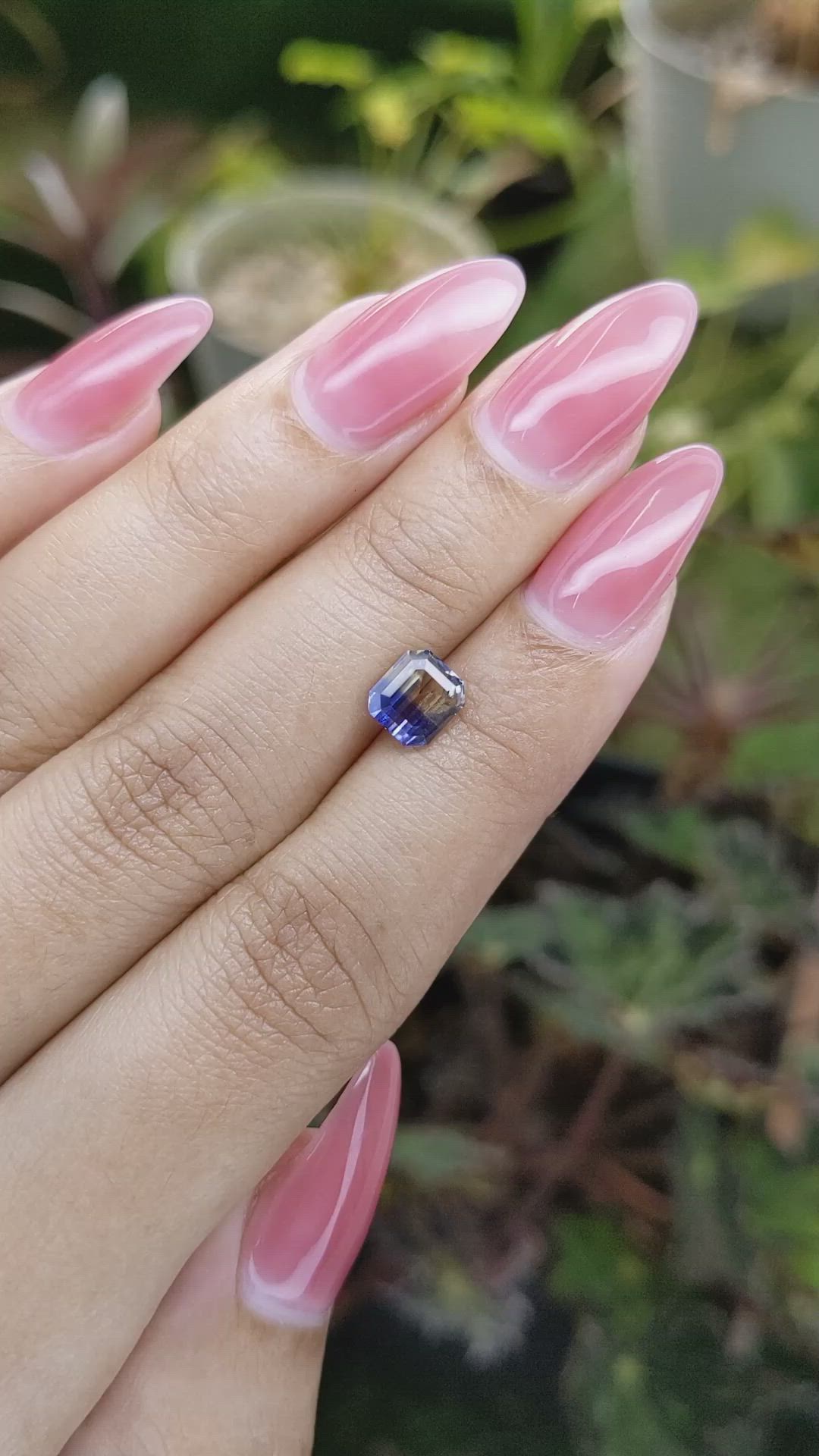 1.63 Ct. Bi Color Sapphire from Ceylon (Sri Lanka) Size Video