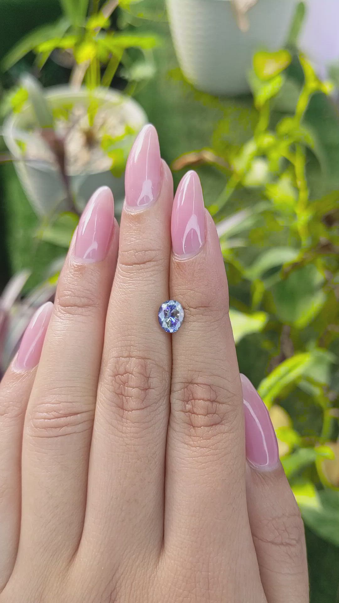 1.30 Ct. Bi Color Sapphire from Ceylon (Sri Lanka) Size Video