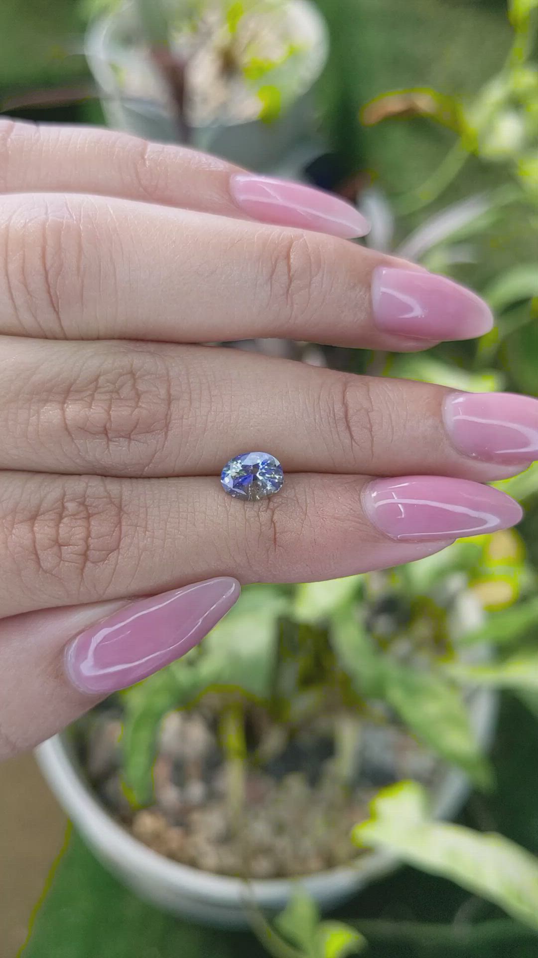 1.30 Ct. Bi Color Sapphire from Ceylon (Sri Lanka) Size Video