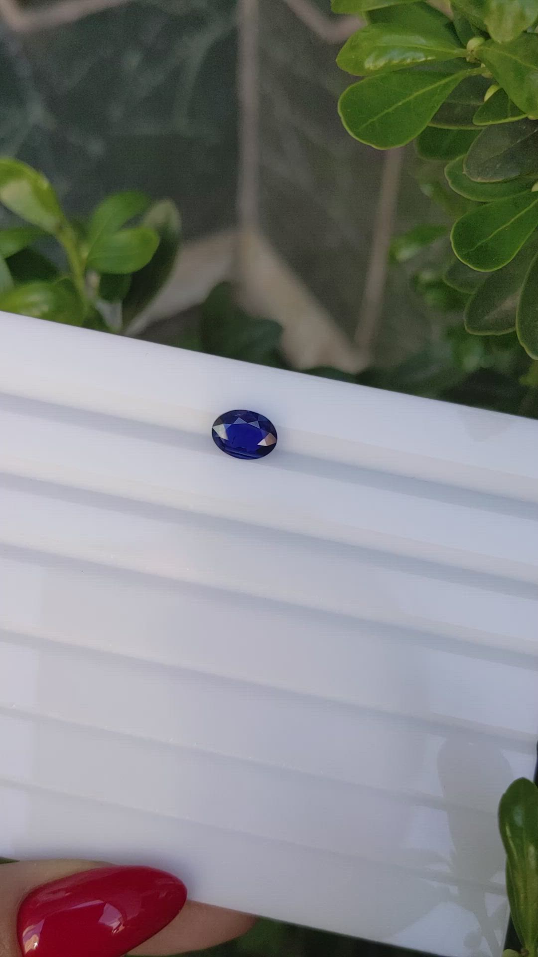 2.04 Ct. Blue Sapphire from Ceylon (Sri Lanka) Size Video