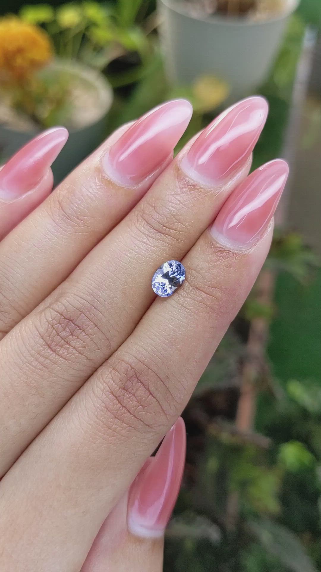 1.27 Ct. Bi Color Sapphire from Ceylon (Sri Lanka) Size Video