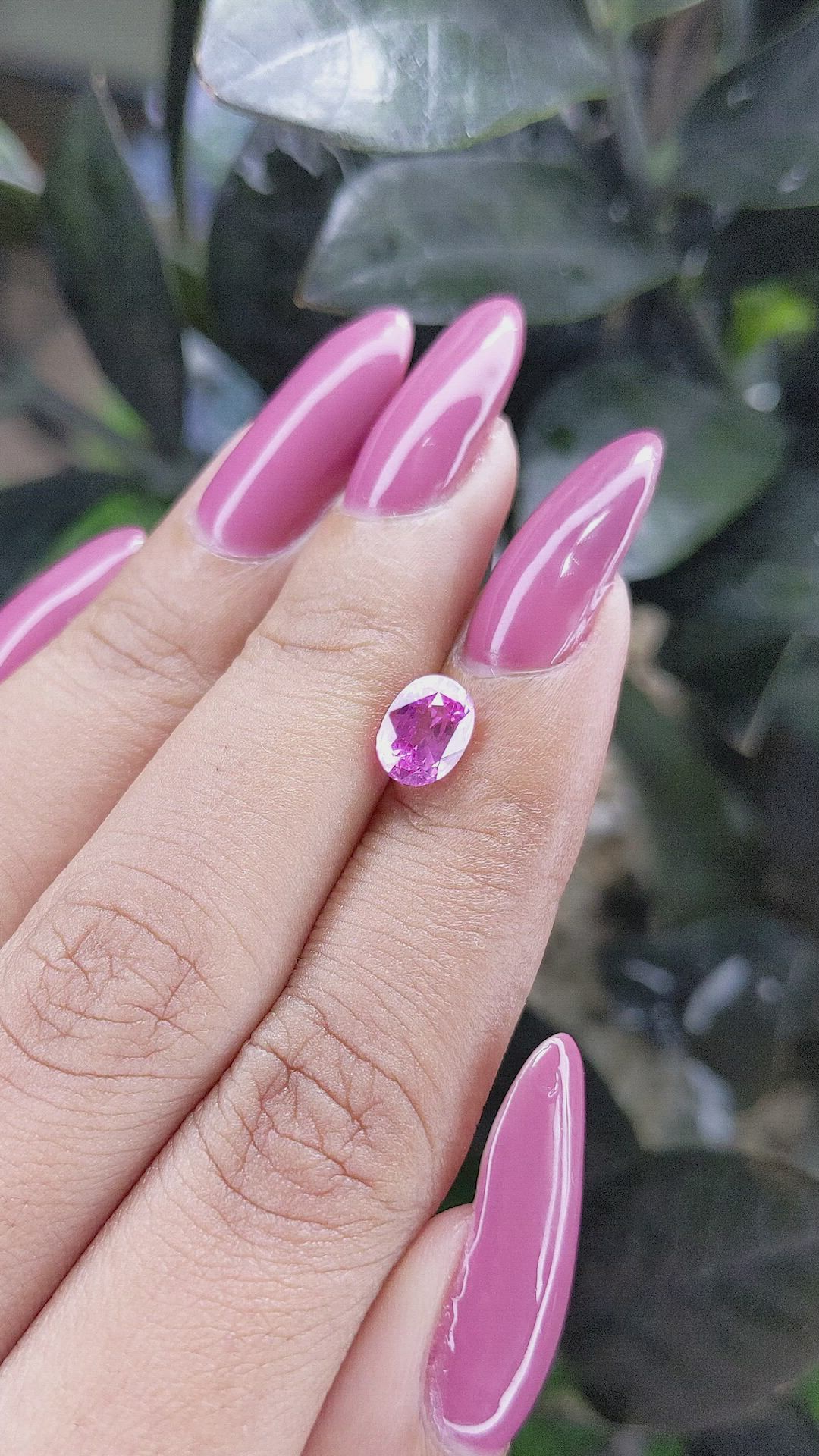 1.50 Ct. Pink Sapphire from Ceylon (Sri Lanka) Size Video