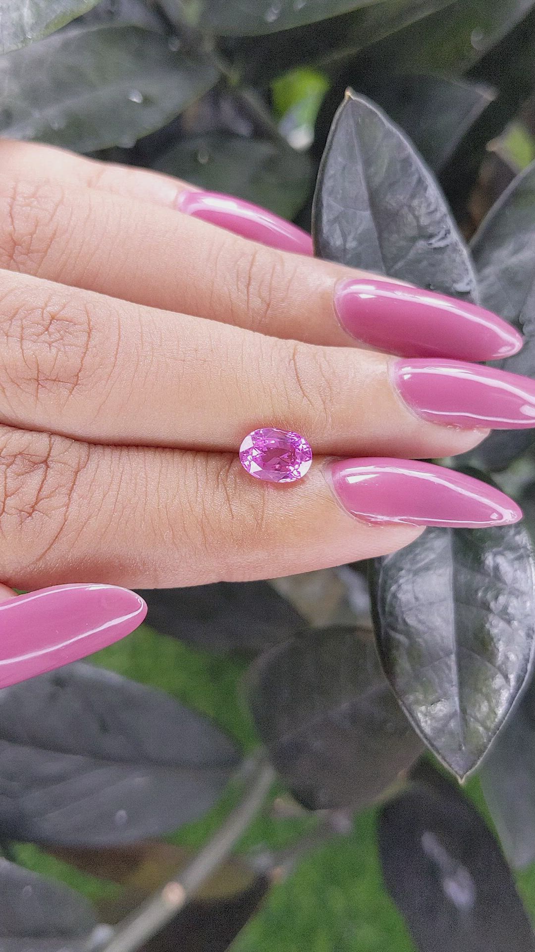 1.50 Ct. Pink Sapphire from Ceylon (Sri Lanka) Size Video
