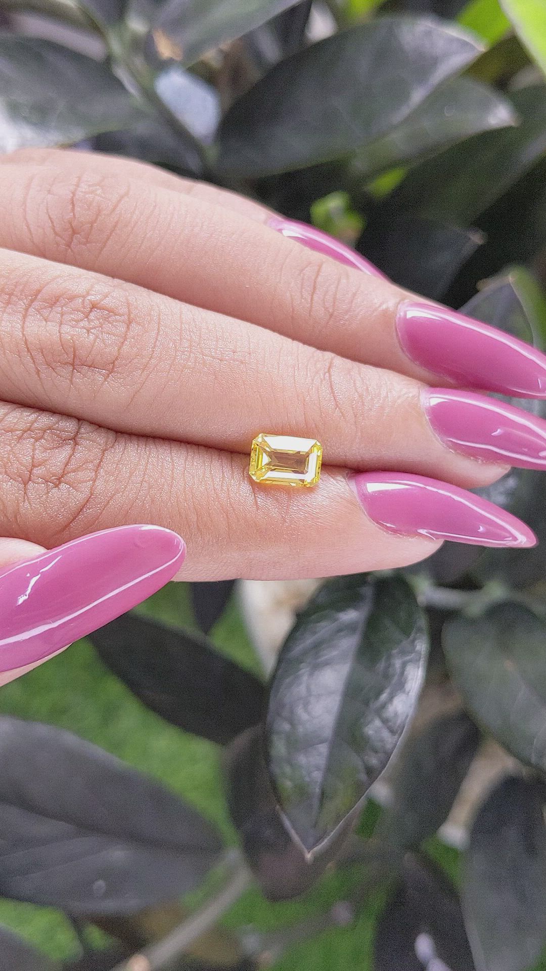 1.52 Ct. Yellow Sapphire from Ceylon (Sri Lanka) Size Video