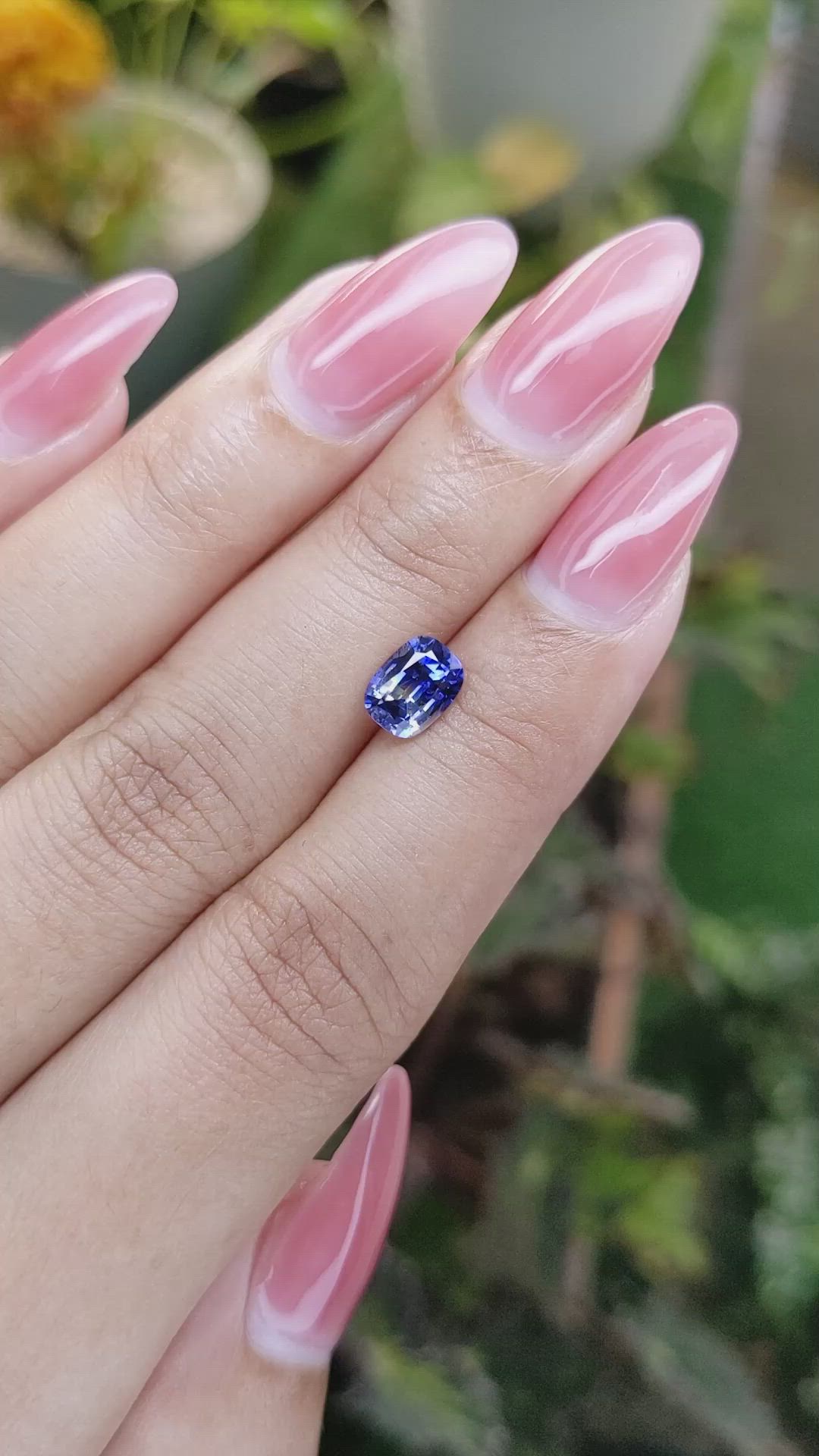 1.24 Ct. Bi Color Sapphire from Ceylon (Sri Lanka) Size Video