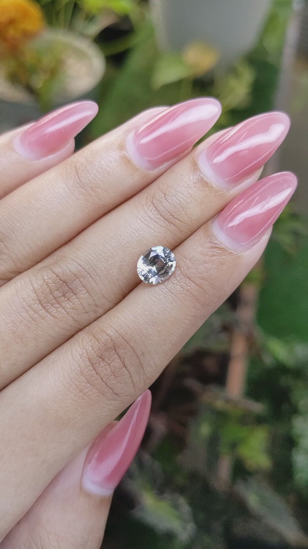 1.79 Ct. Bi Color Sapphire from Ceylon (Sri Lanka) Size Video