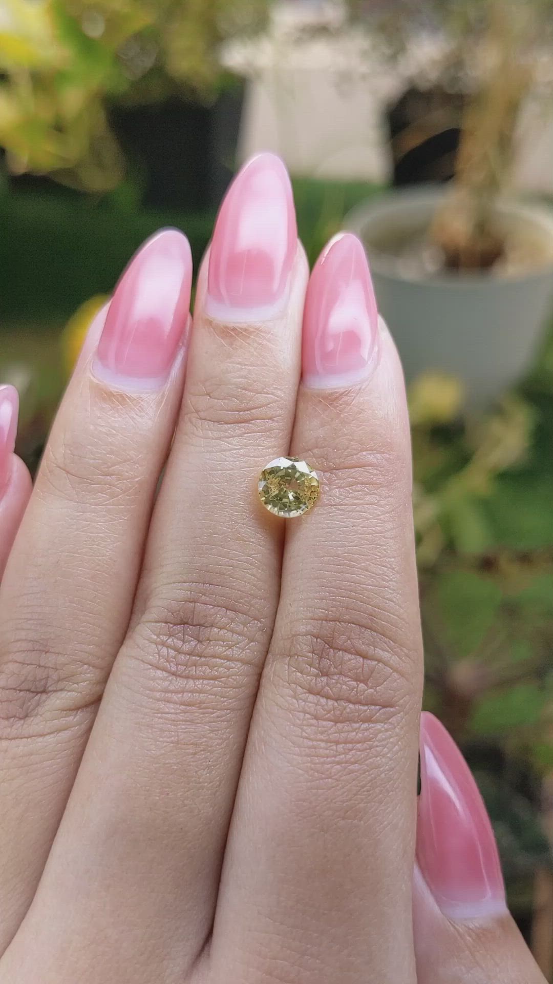 1.60 Ct. Yellow Sapphire from Ceylon (Sri Lanka) Size Video
