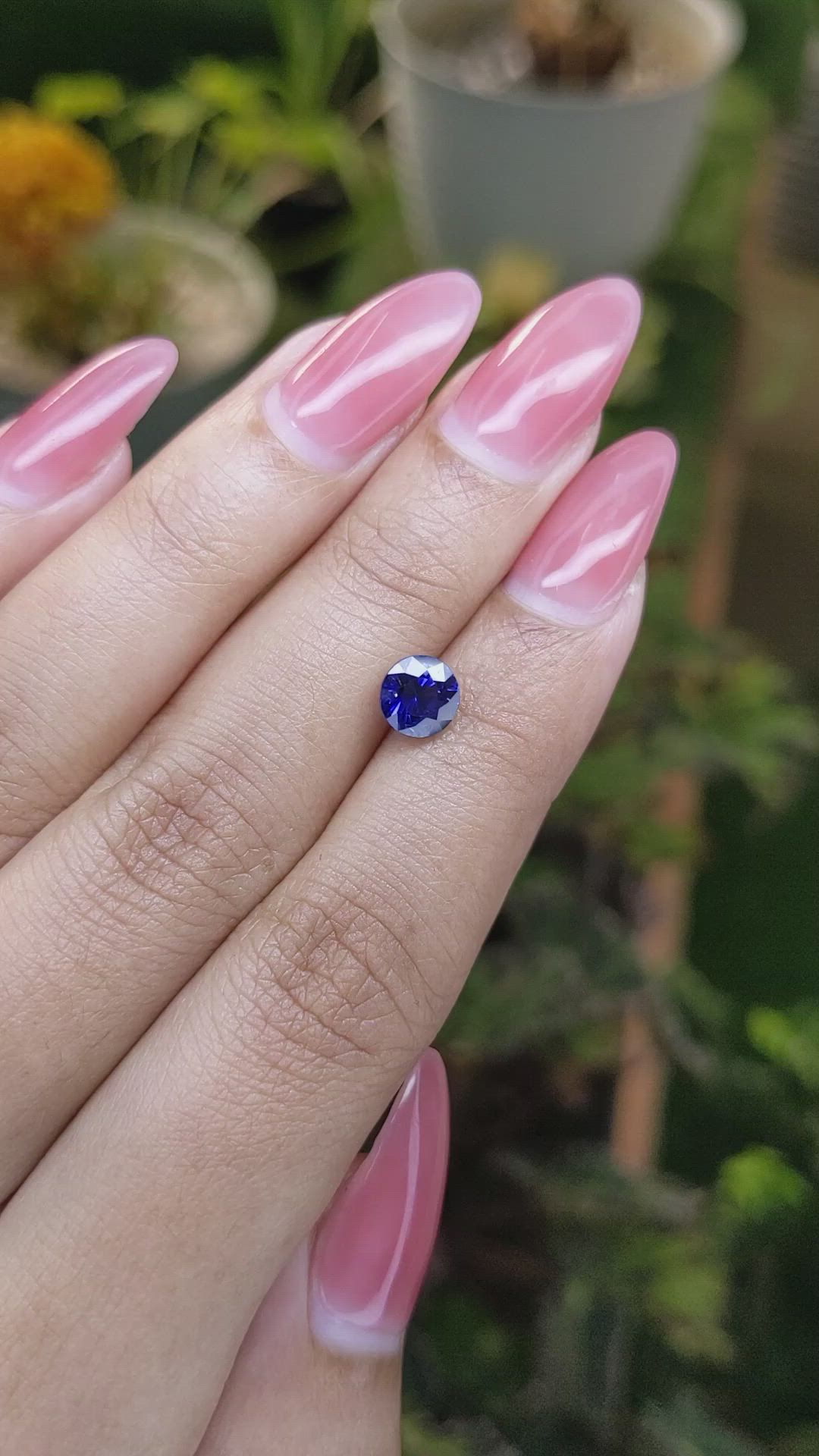 1.53 Ct. Blue Sapphire from Ceylon (Sri Lanka) Size Video