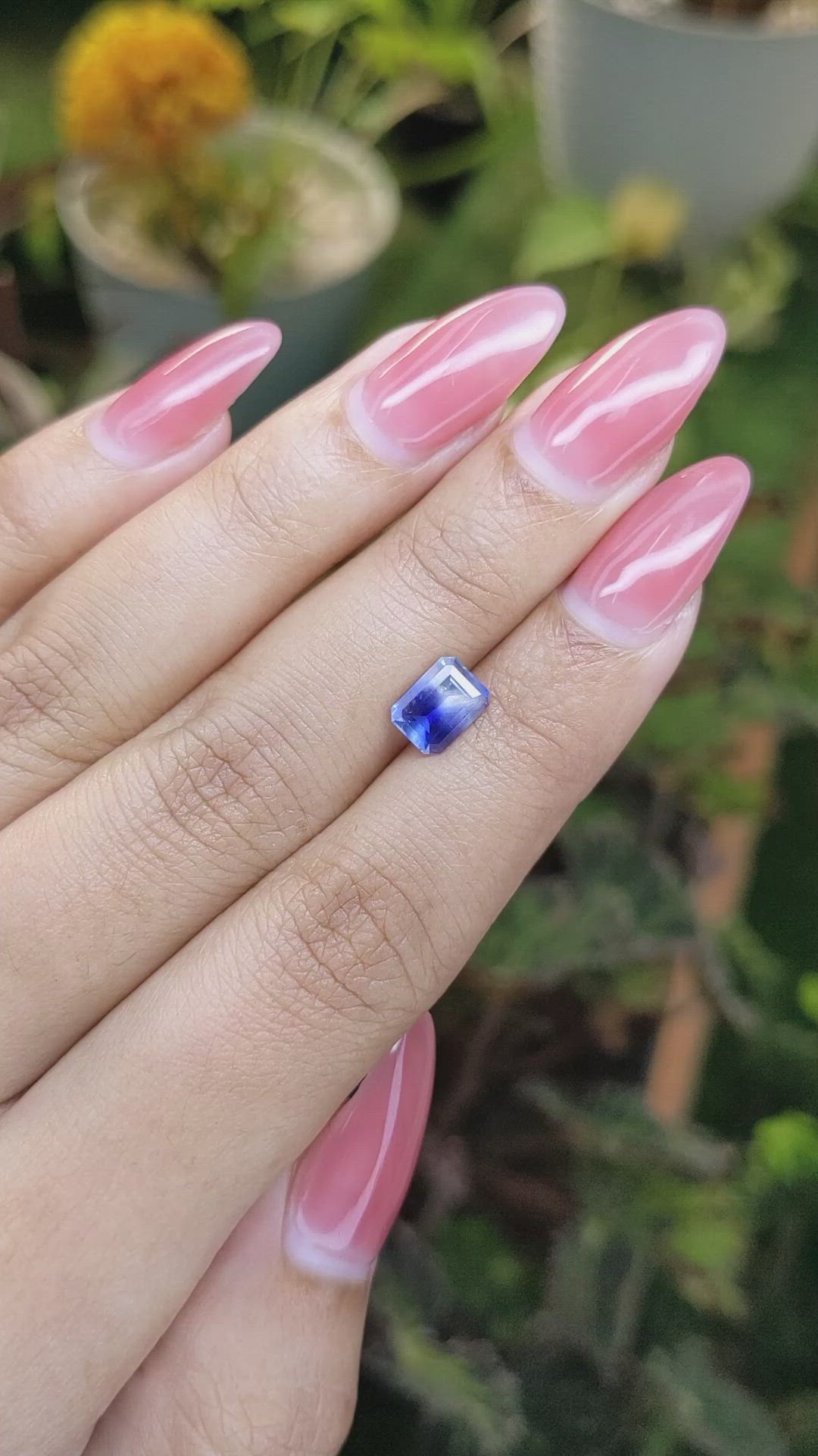 1.46 Ct. Bi Color Sapphire from Ceylon (Sri Lanka) Size Video