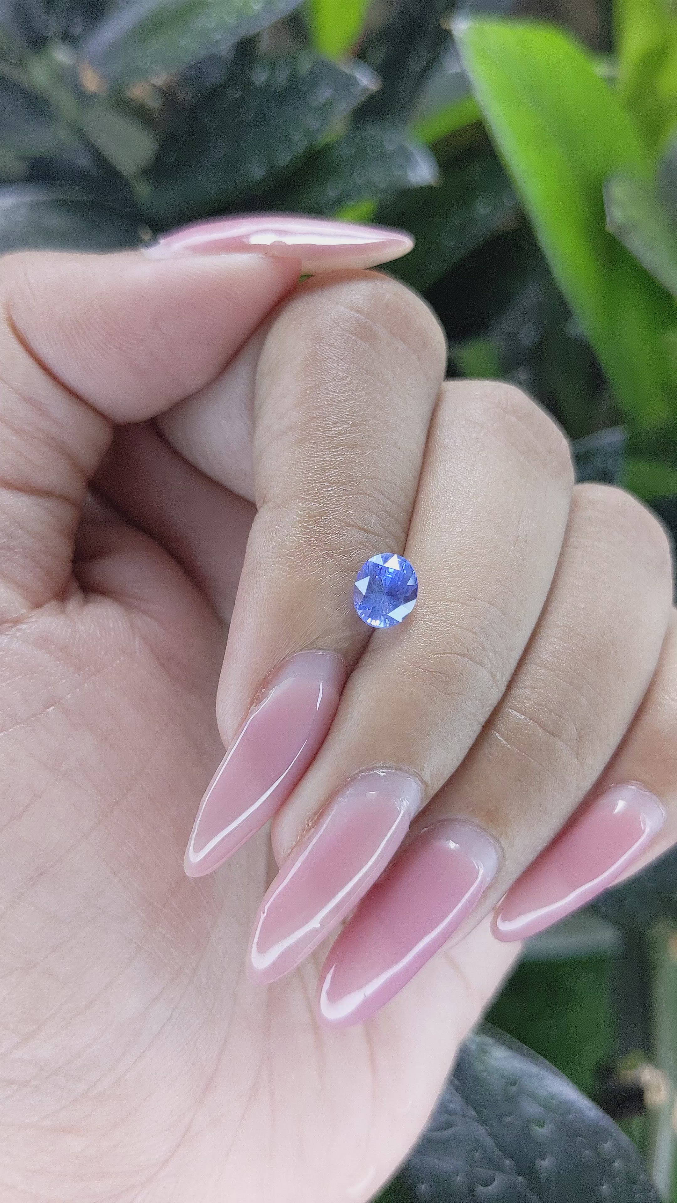 1.28 Ct. Blue Sapphire from Ceylon (Sri Lanka) Size Video