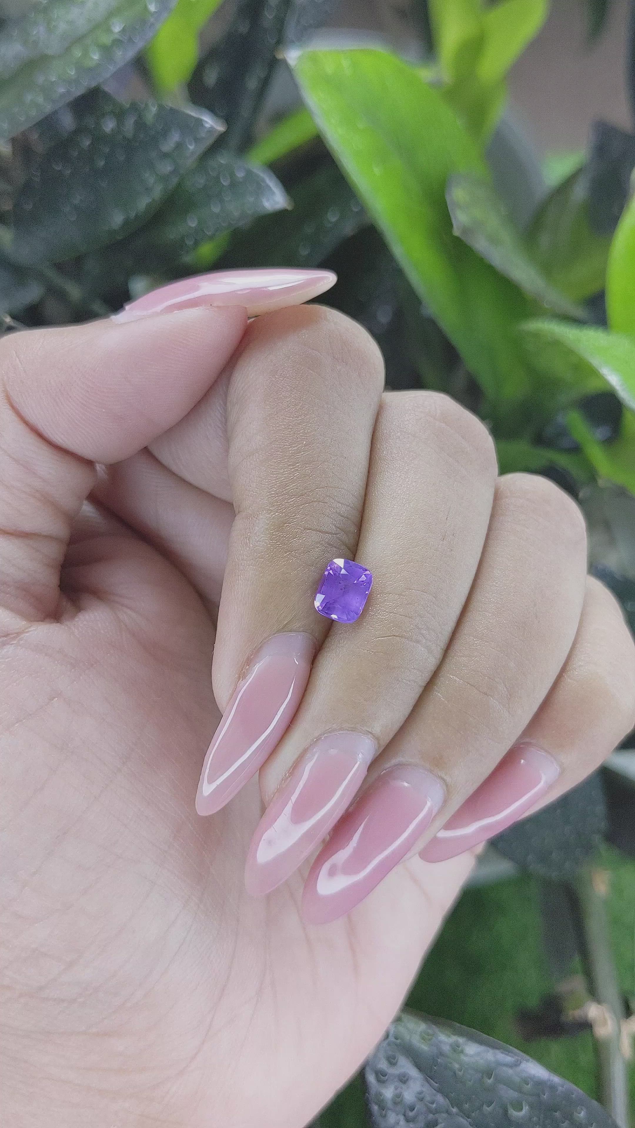 1.29 Ct. Violet Sapphire from Ceylon (Sri Lanka) Size Video