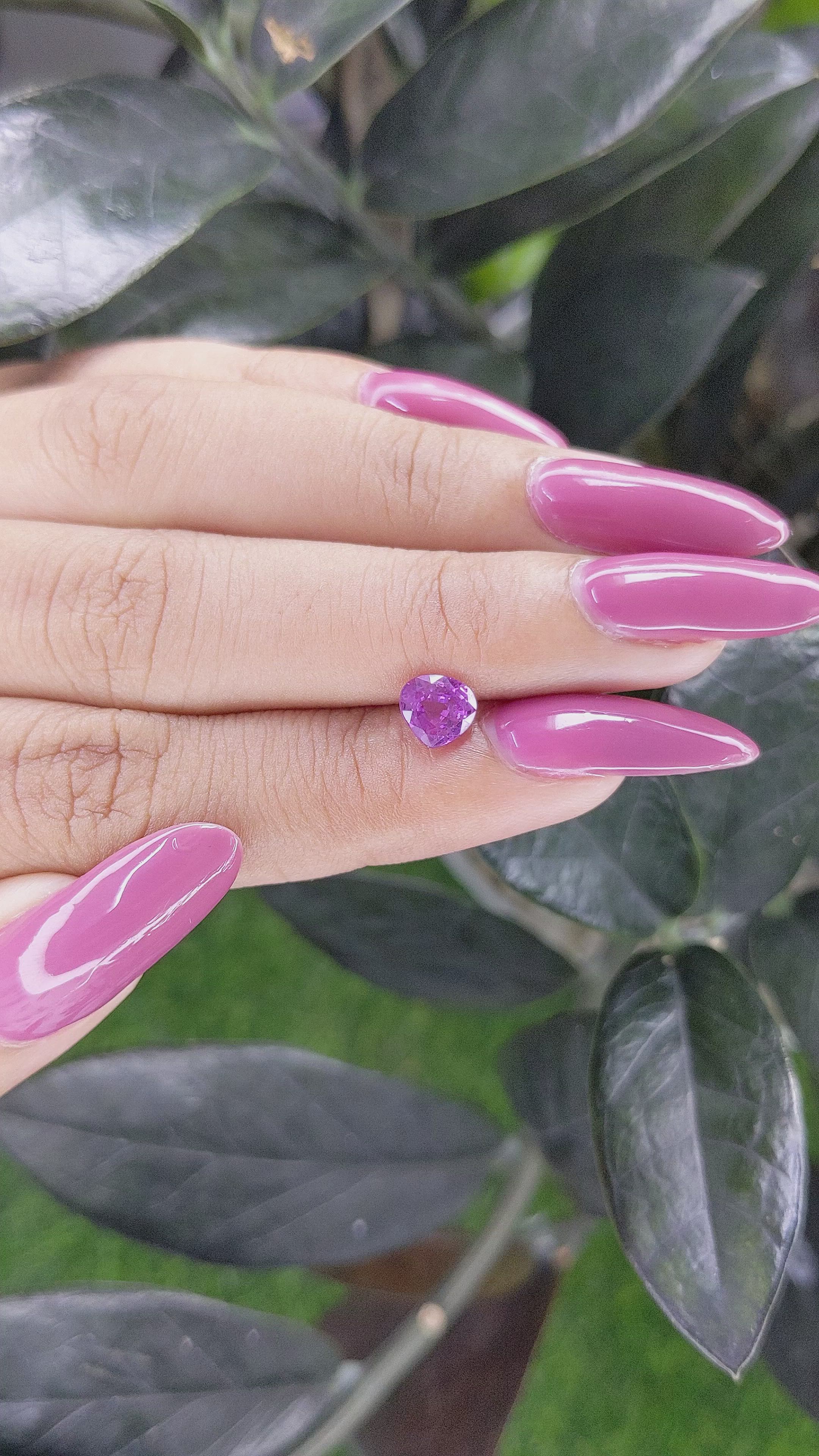 1.14 Ct. Purple Sapphire from Ceylon (Sri Lanka) Size Video