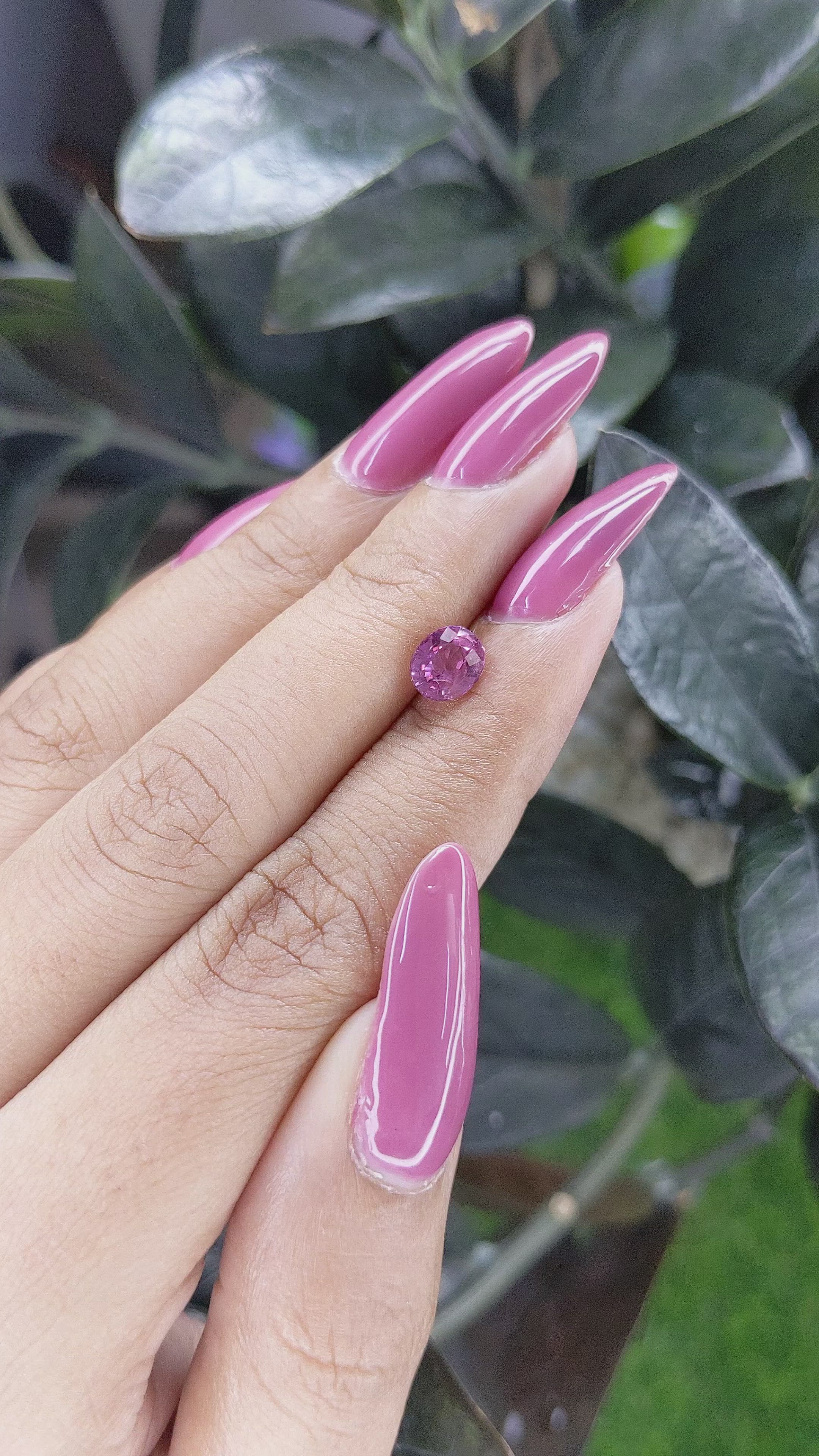 1.20 Ct. Pink Sapphire from Ceylon (Sri Lanka) Size Video