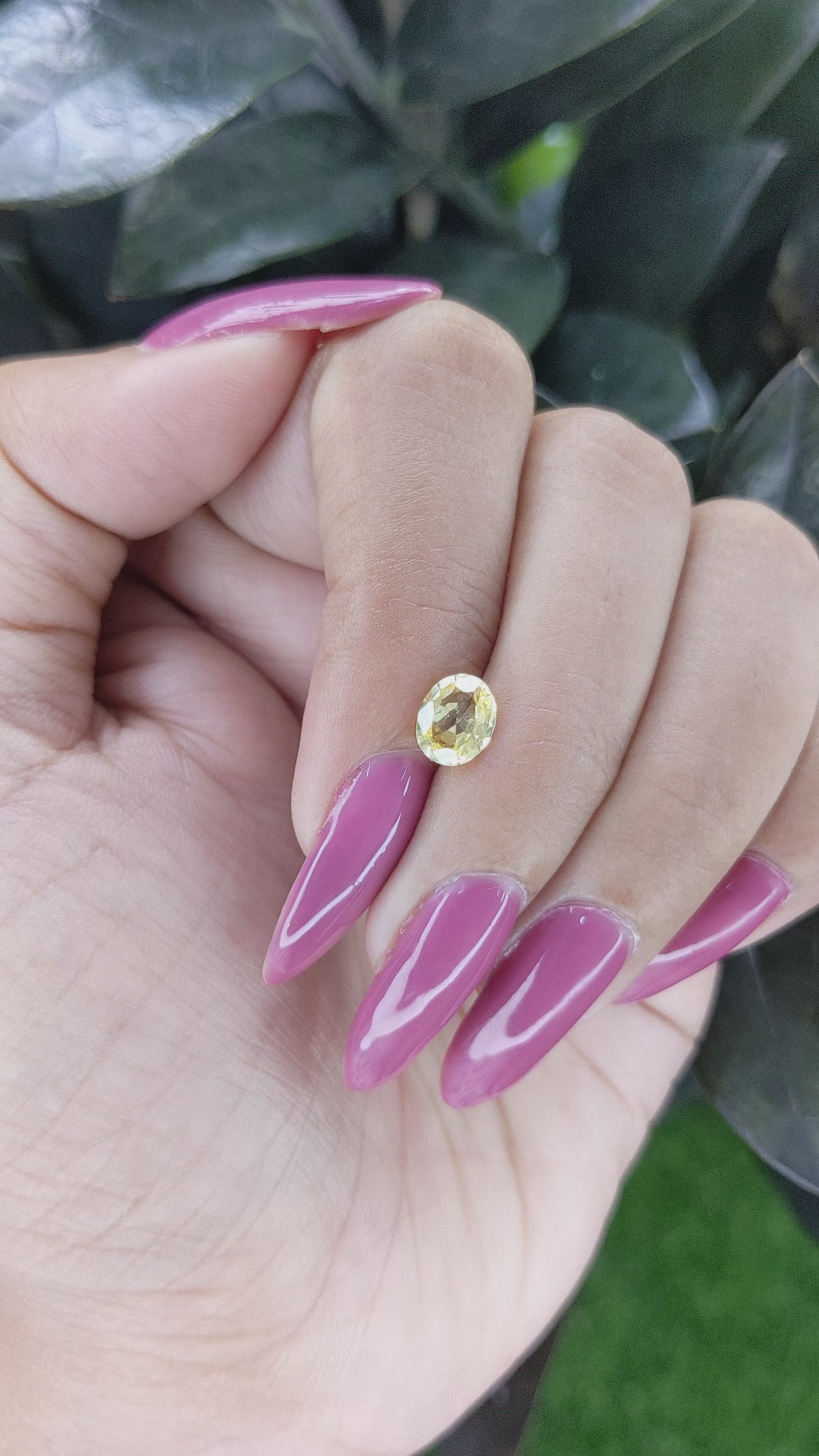 1.15 Ct. Yellow Sapphire from Ceylon (Sri Lanka) Size Video