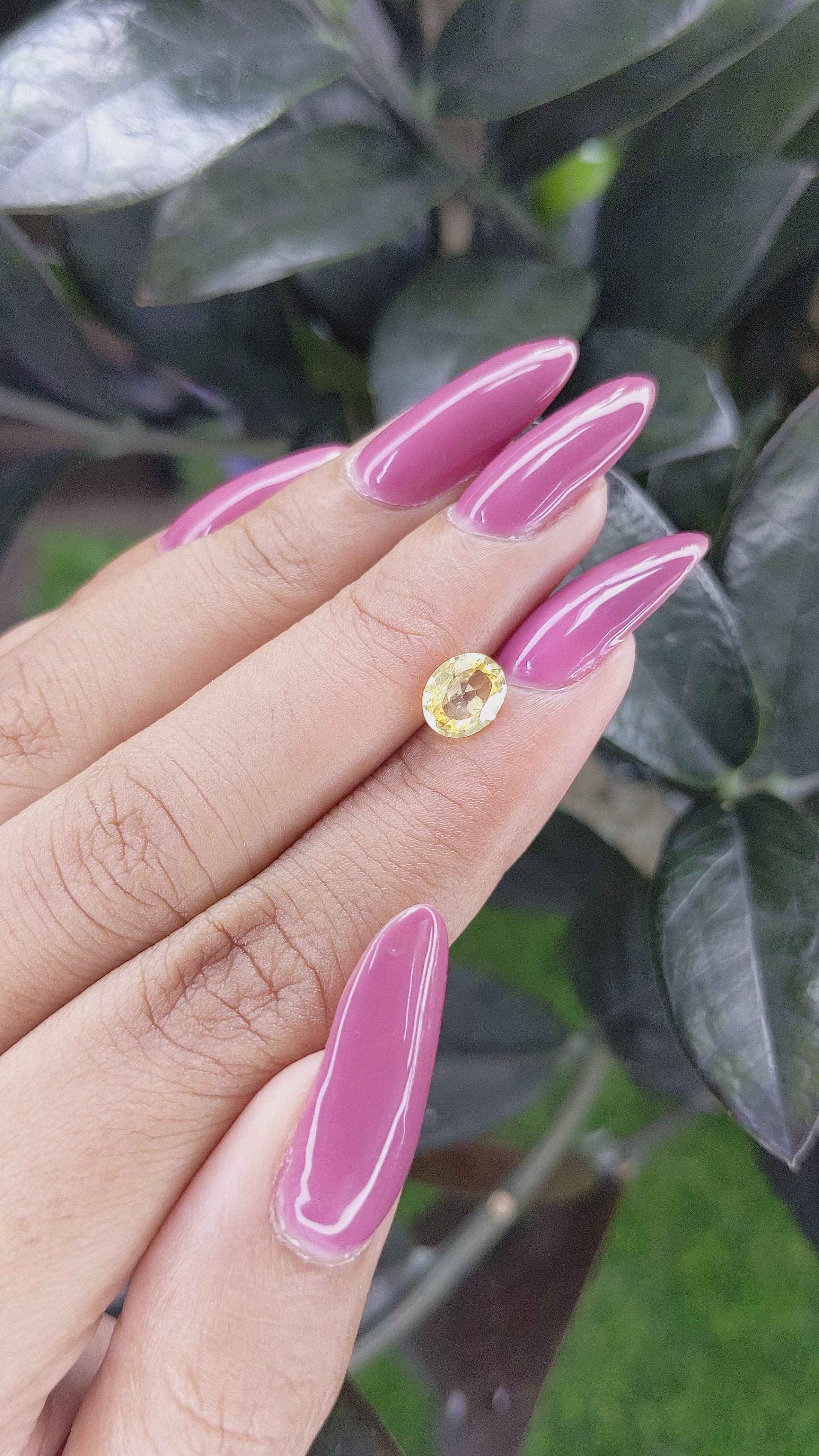 1.15 Ct. Yellow Sapphire from Ceylon (Sri Lanka) Size Video