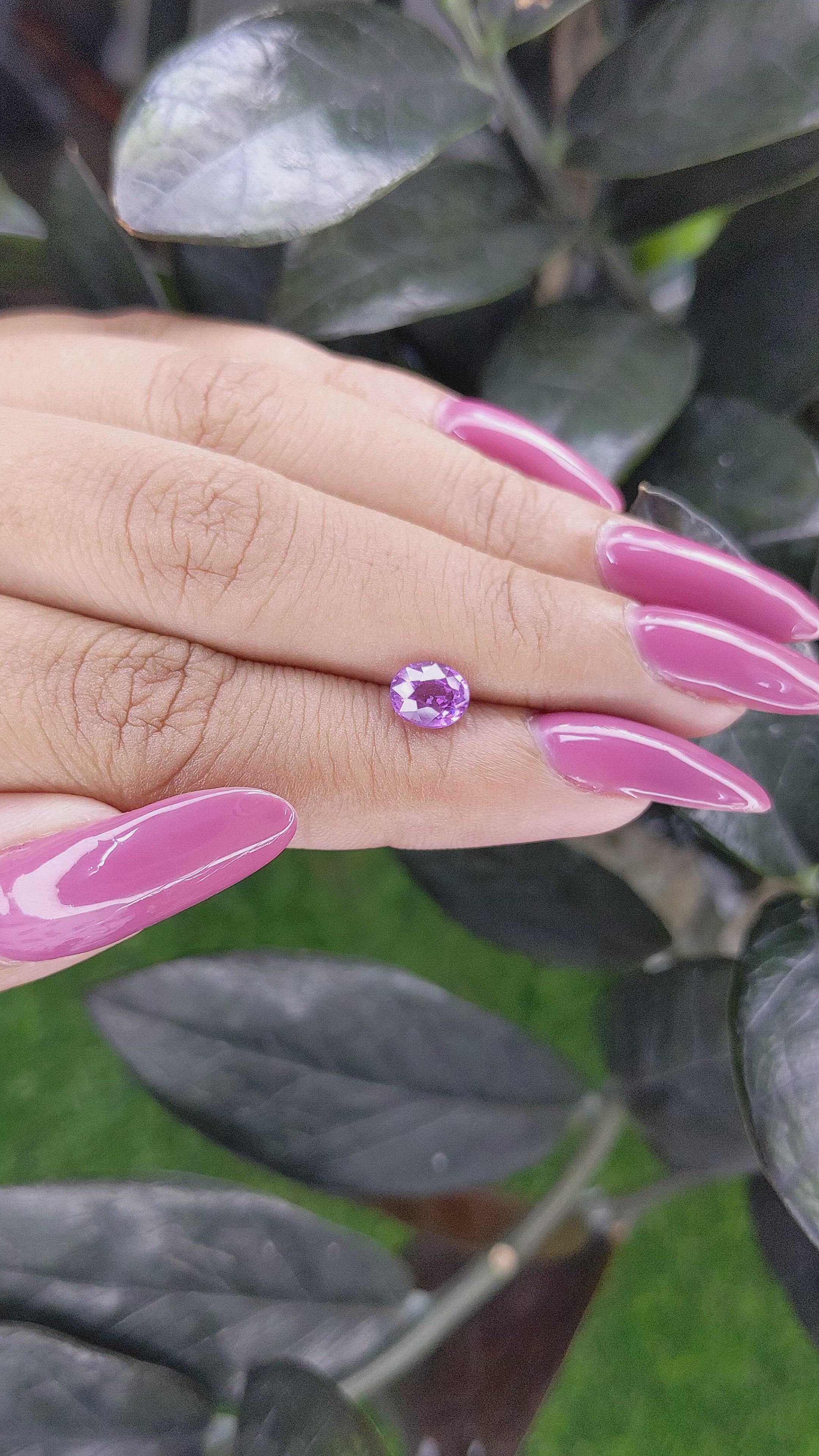 1.21 Ct. Purple Sapphire from Ceylon (Sri Lanka) Size Video