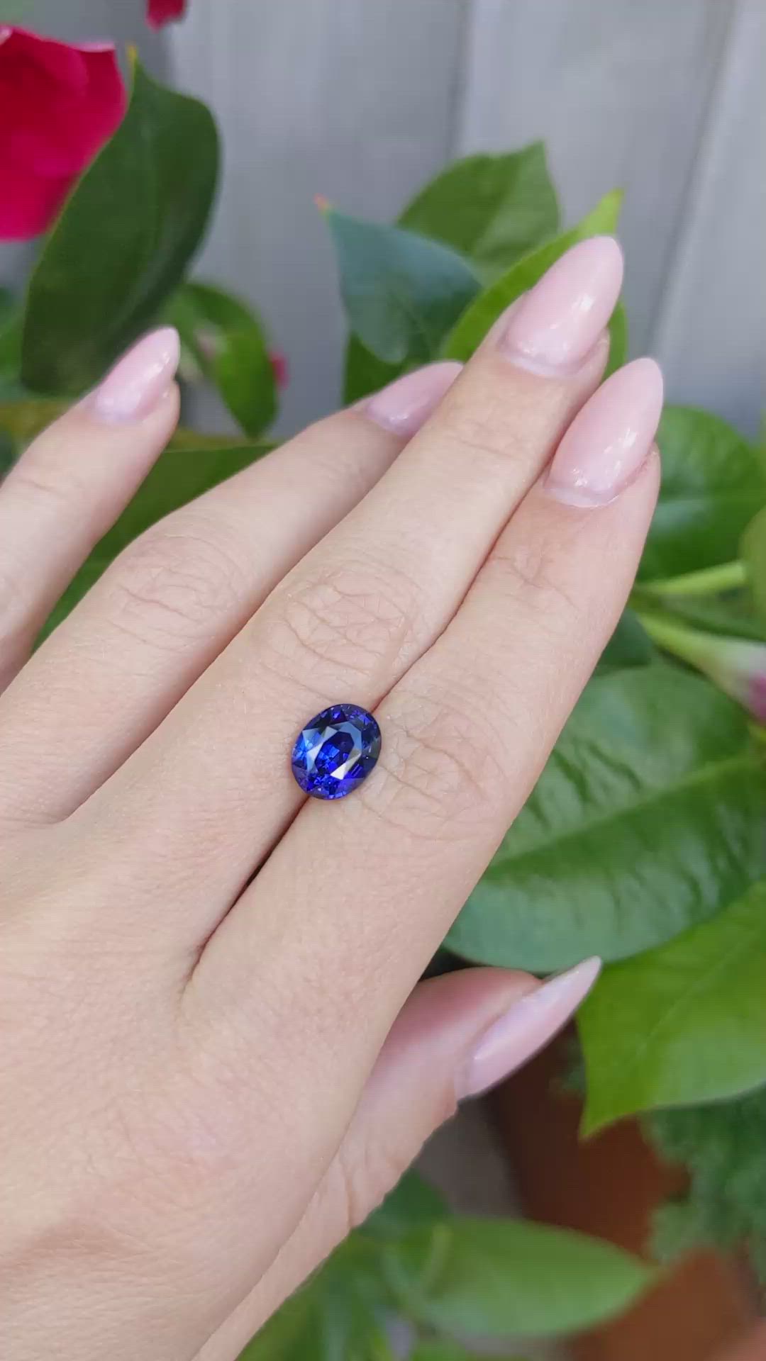 3.02 Ct. Blue Sapphire from Ceylon (Sri Lanka) Size Video