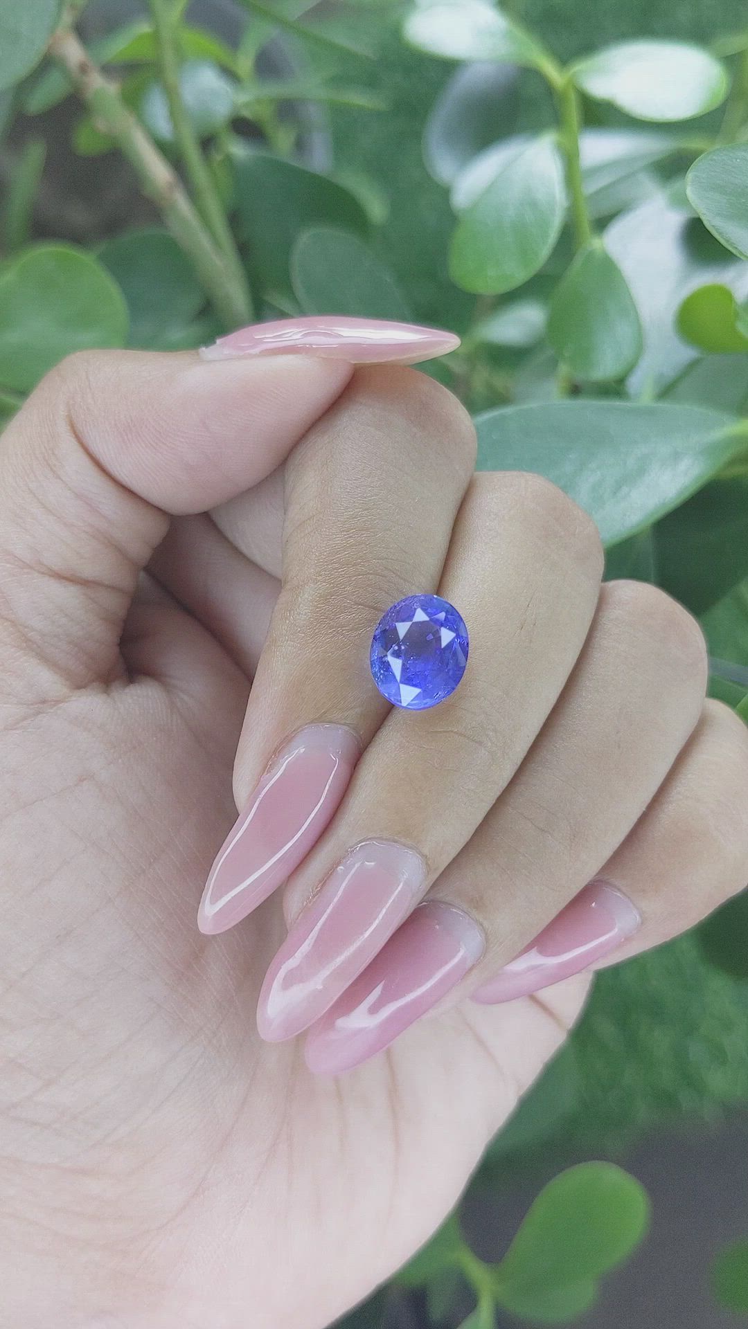 5.57 Ct. Blue Sapphire from Ceylon (Sri Lanka) Size Video