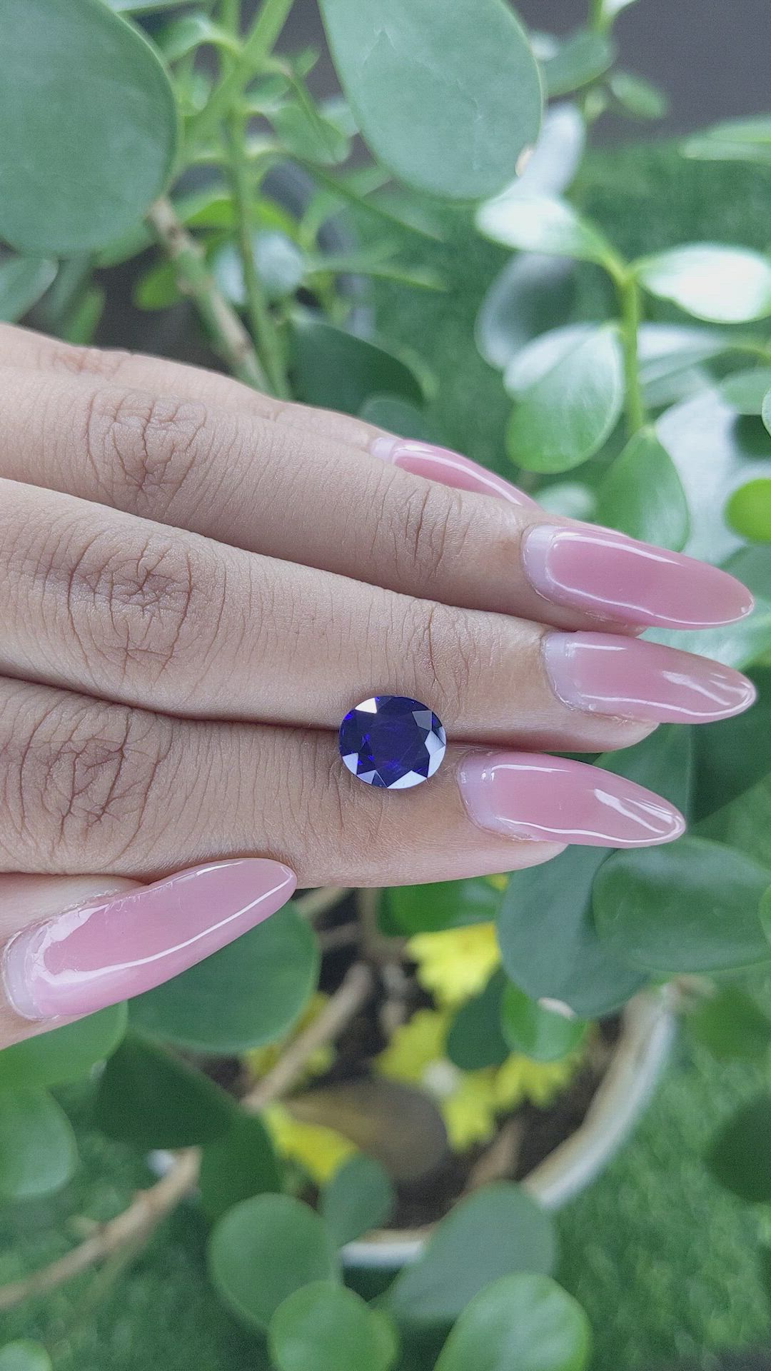 2.51 Ct. Blue Sapphire from Ceylon (Sri Lanka) Size Video
