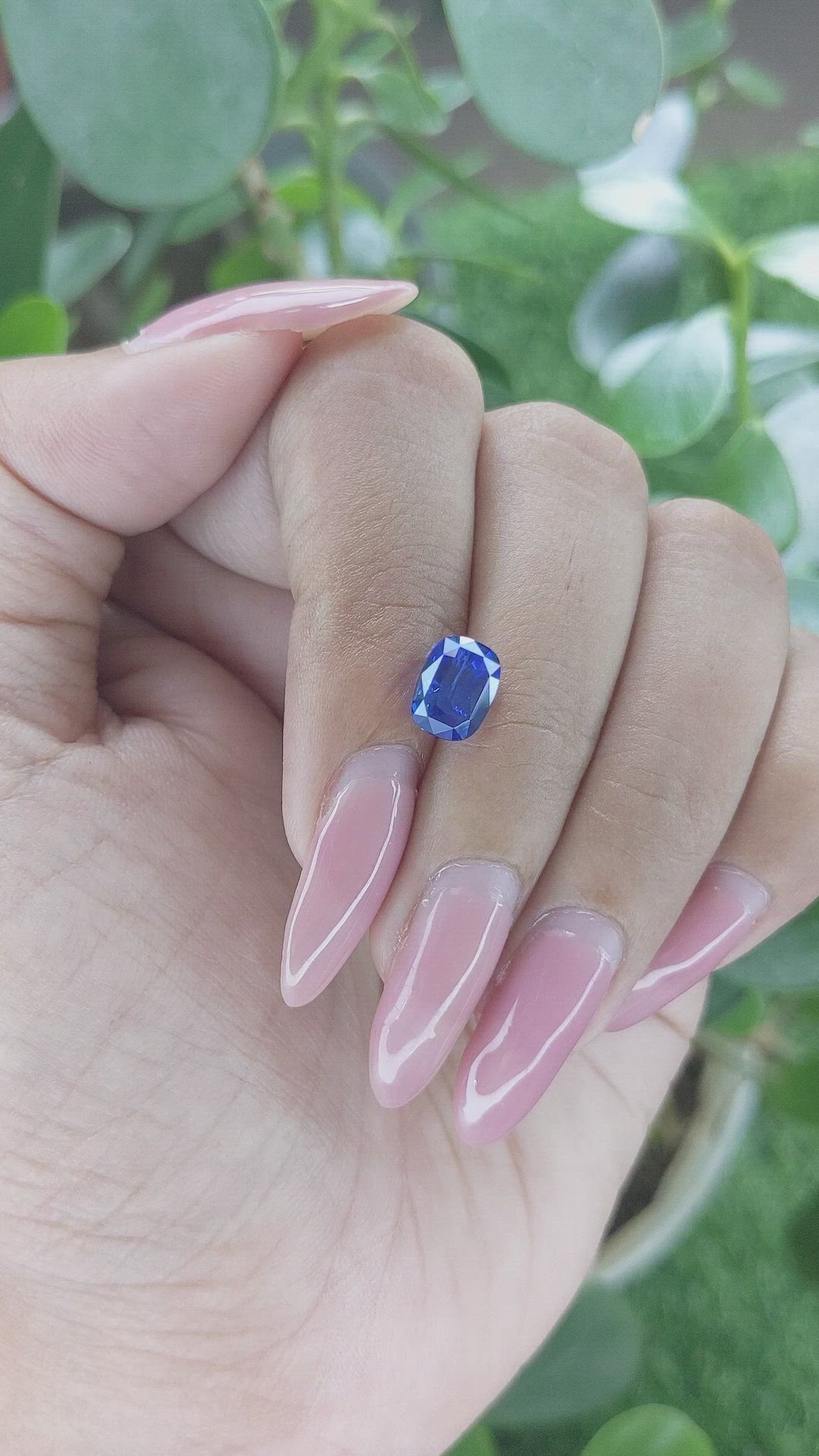 2.54 Ct. Blue Sapphire from Ceylon (Sri Lanka) Size Video