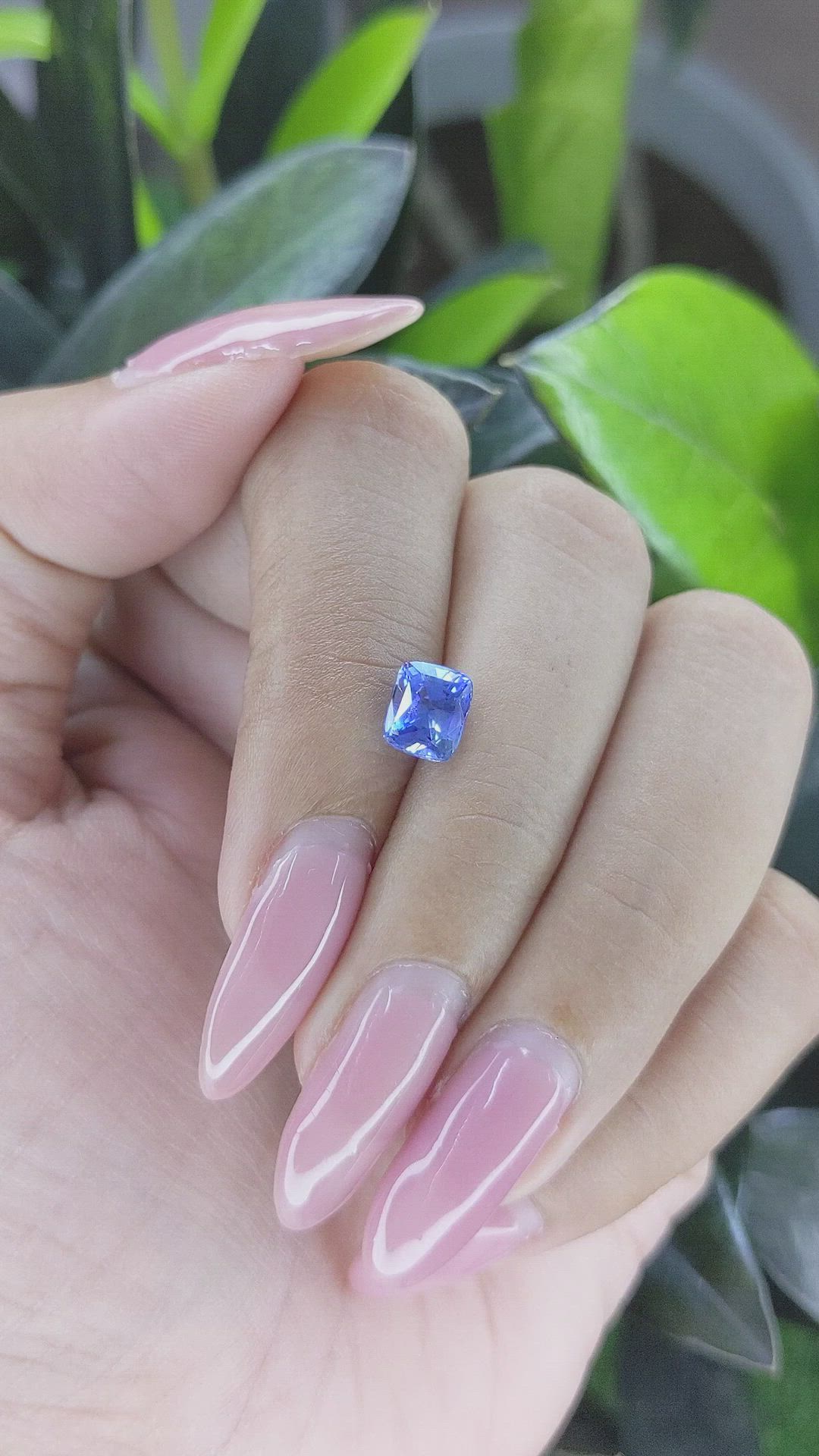 1.61 Ct. Blue Sapphire from Ceylon (Sri Lanka) Size Video