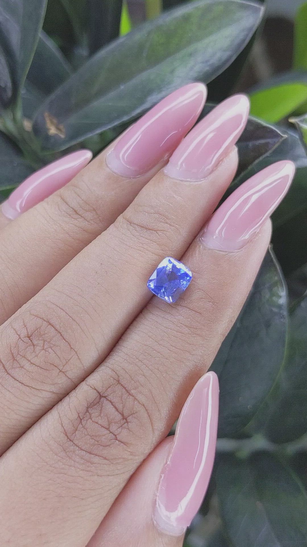 1.61 Ct. Blue Sapphire from Ceylon (Sri Lanka) Size Video