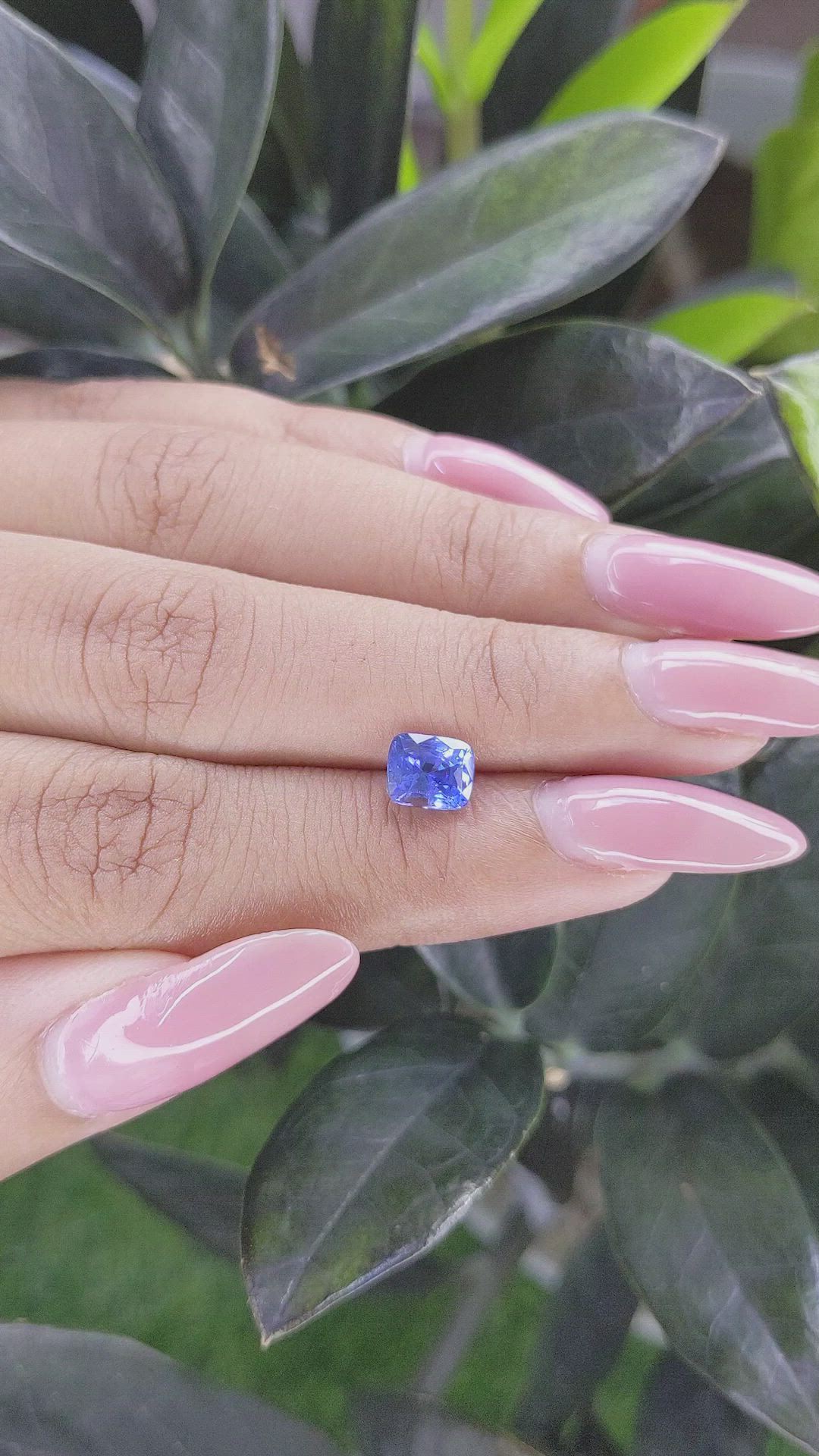 1.61 Ct. Blue Sapphire from Ceylon (Sri Lanka) Size Video