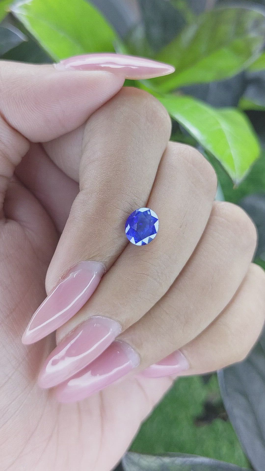 1.53 Ct. Blue Sapphire from Ceylon (Sri Lanka) Size Video