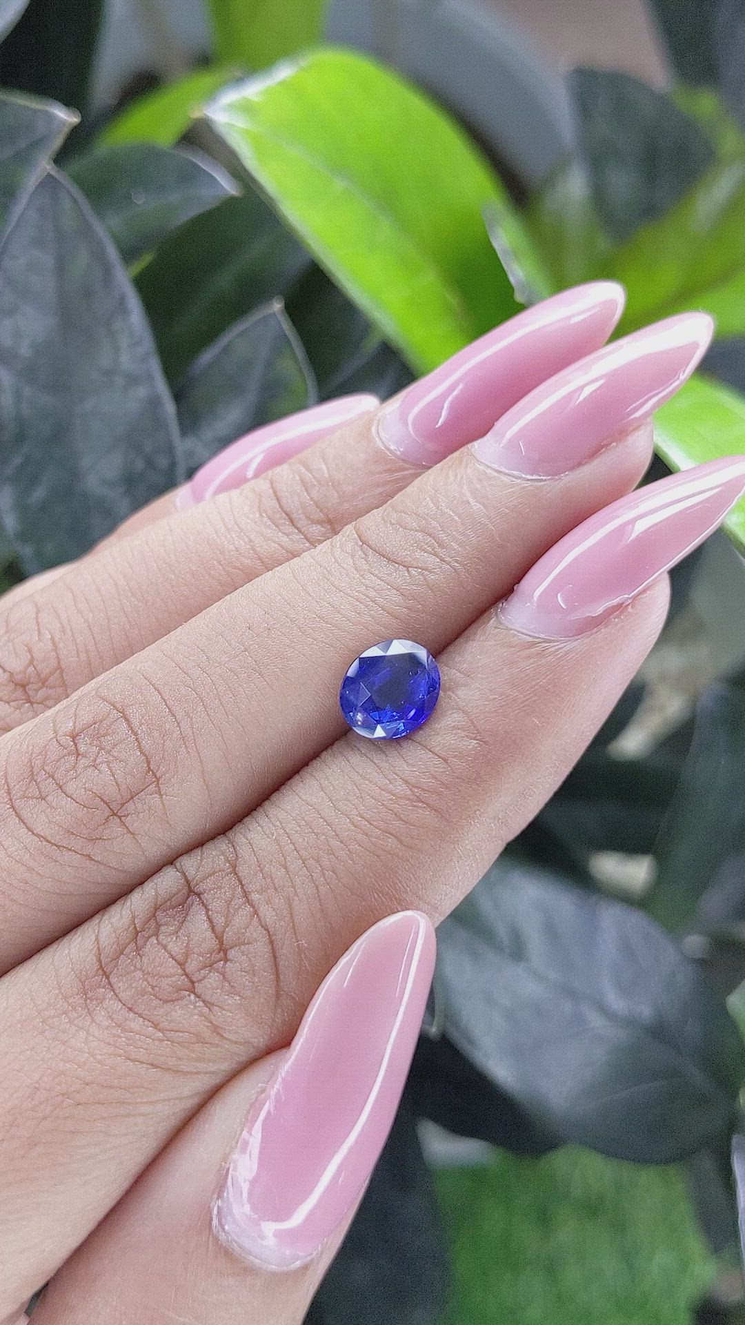 1.53 Ct. Blue Sapphire from Ceylon (Sri Lanka) Size Video