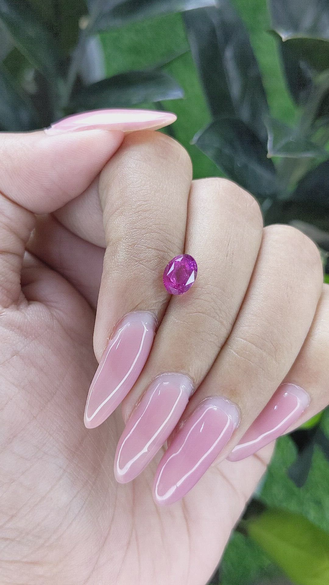 1.70 Ct. Purplish Pink Sapphire from Ceylon (Sri Lanka) Size Video