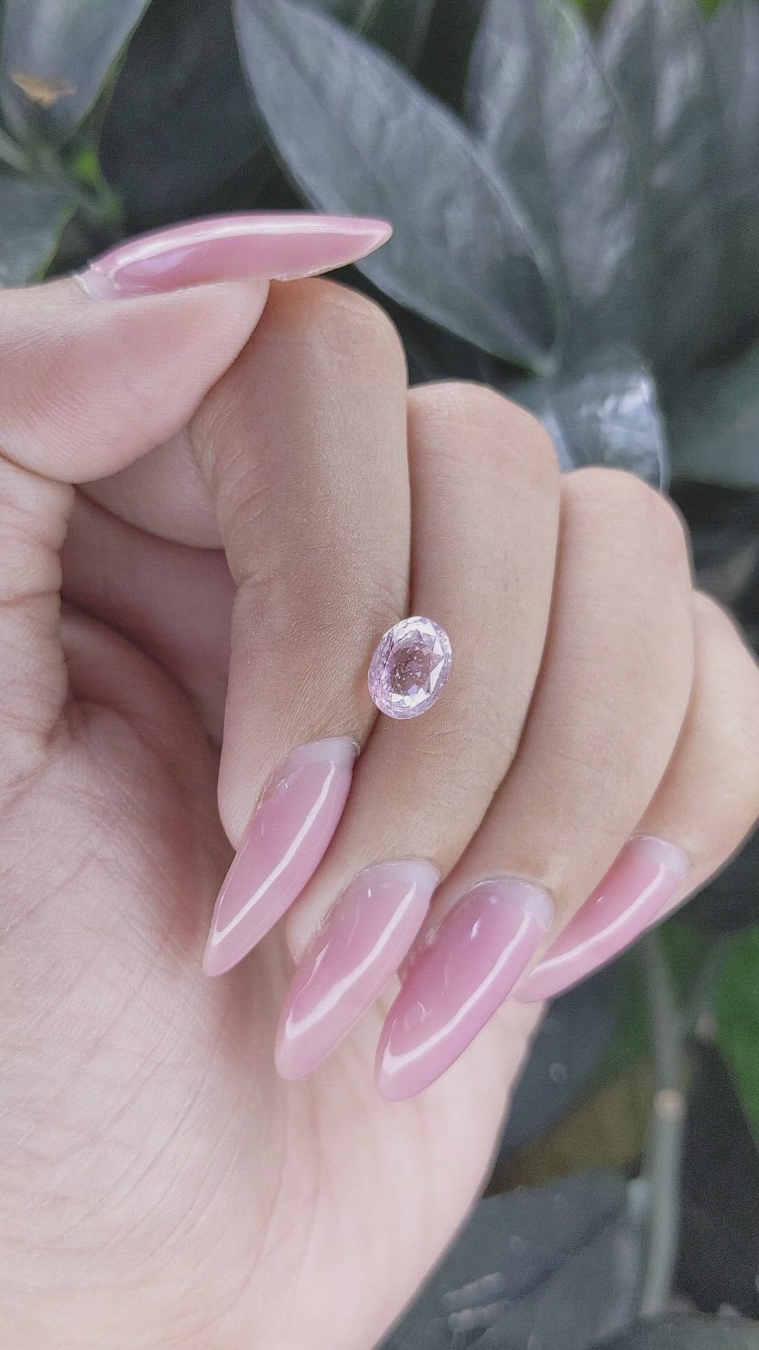 2.01 Ct. Pink Sapphire from Ceylon (Sri Lanka) Size Video