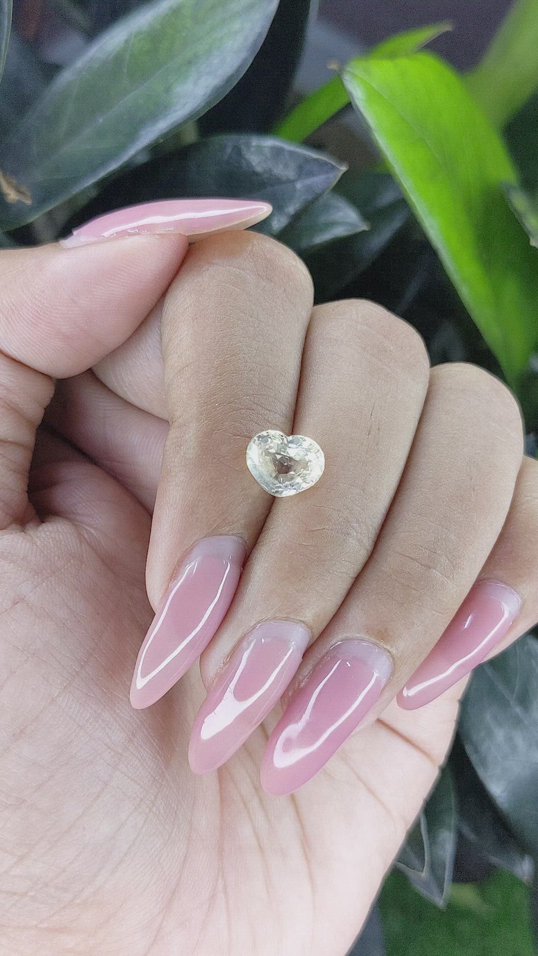 2.54 Ct. Yellow Sapphire from Ceylon (Sri Lanka) Size Video