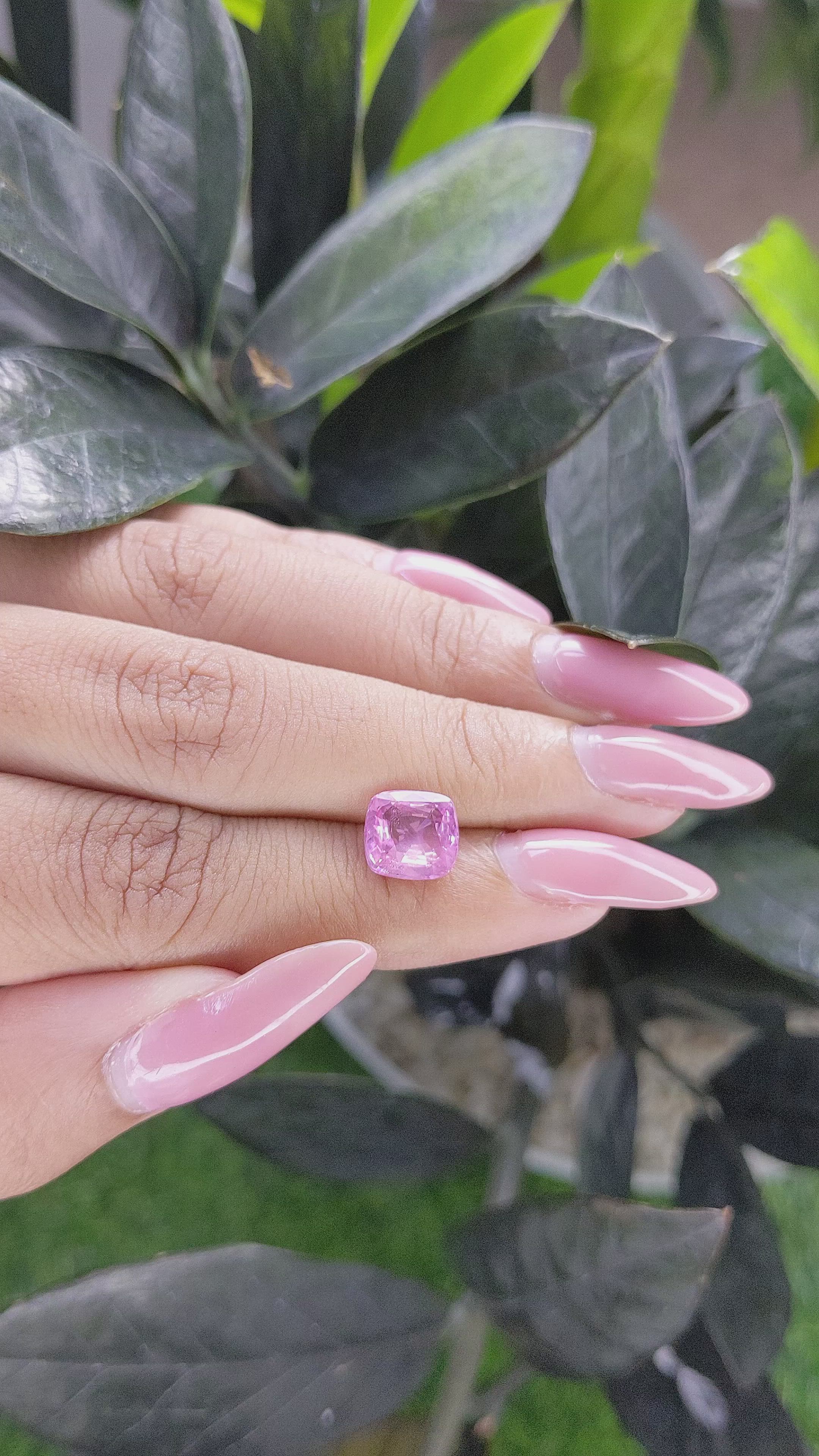 3.06 Ct. Pink Sapphire from Ceylon (Sri Lanka) Size Video
