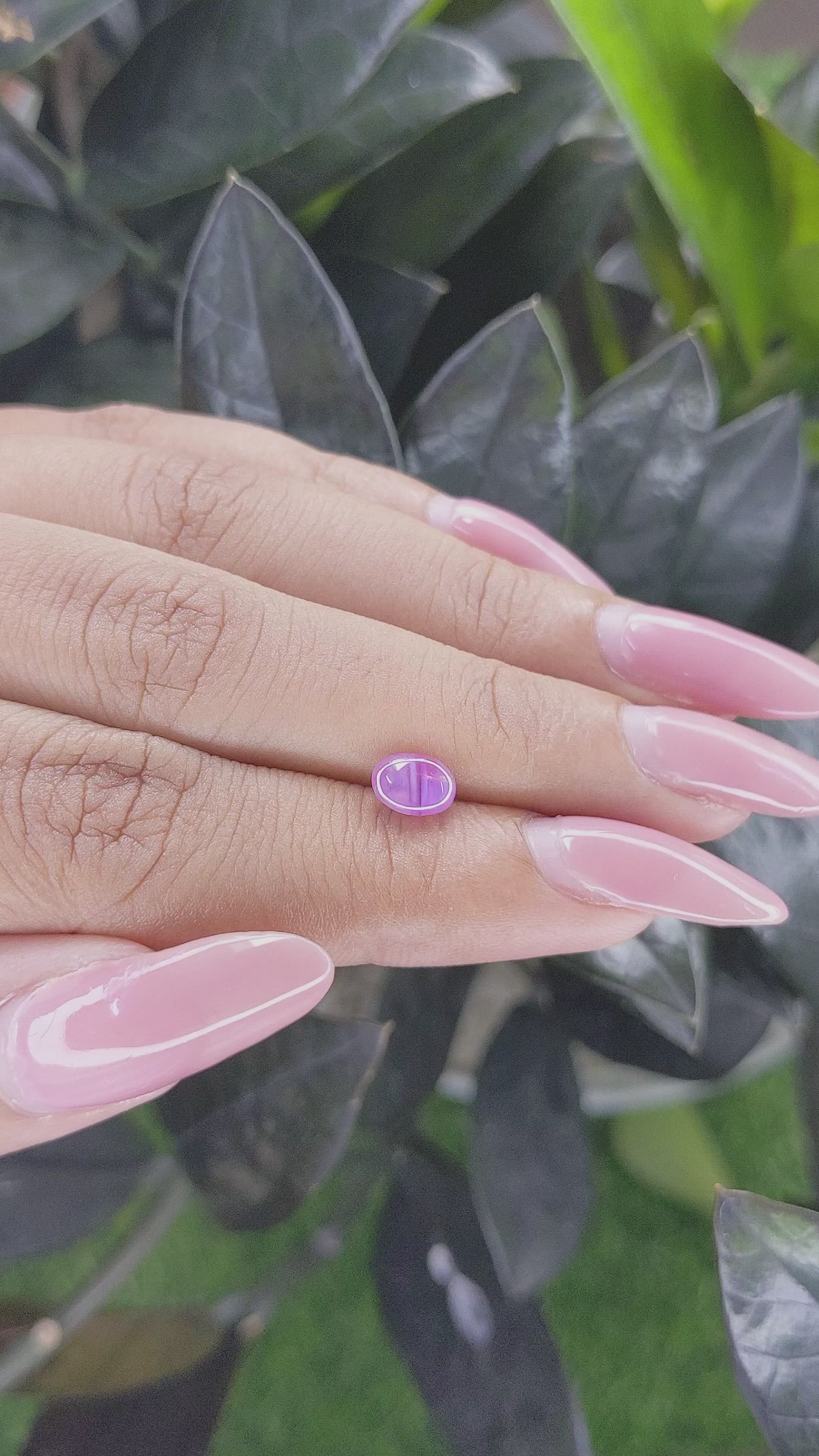 1.15 Ct. Pinkish Purple Star Sapphire from Ceylon (Sri Lanka) Size Video