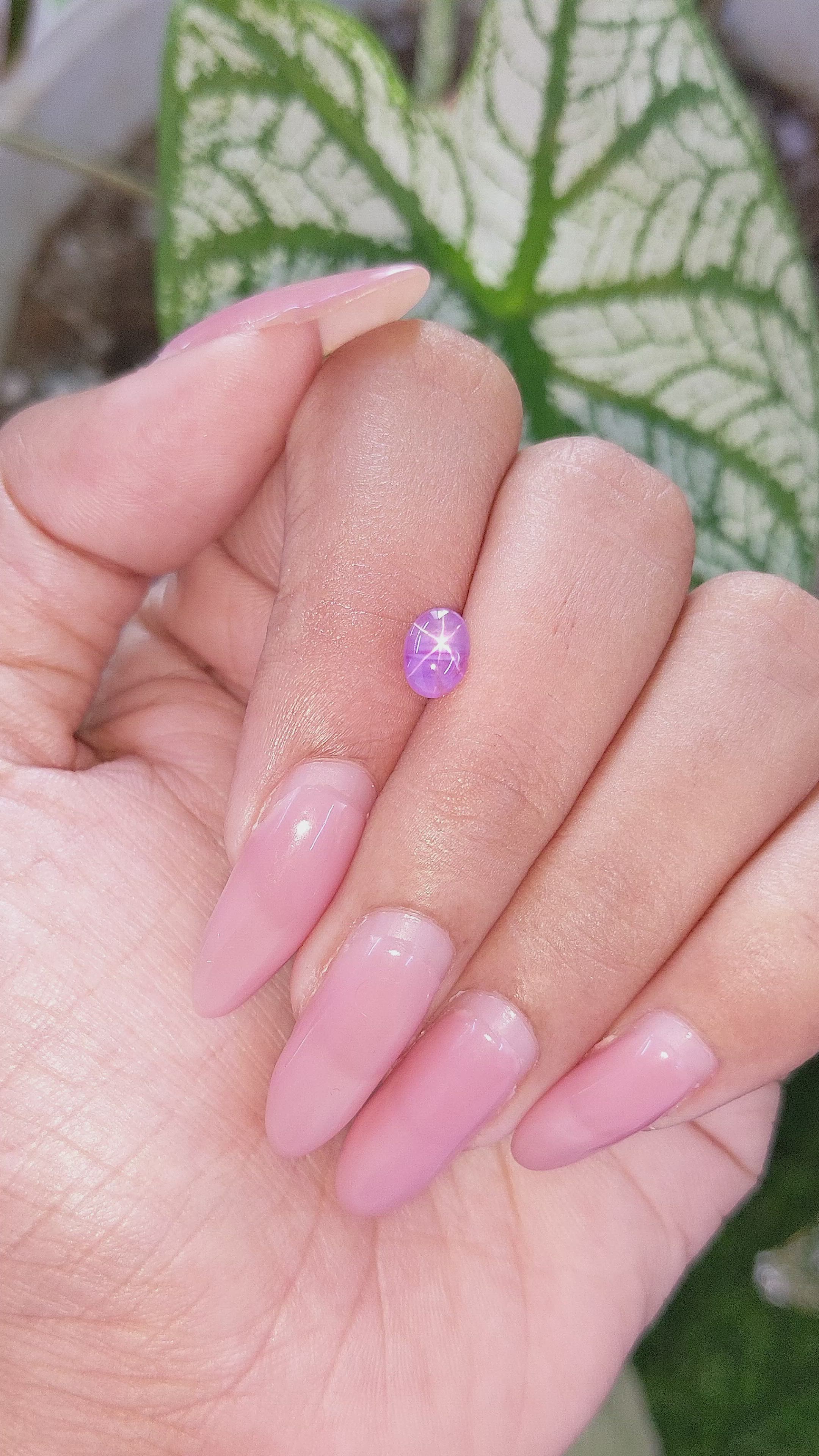 1.15 Ct. Pinkish Purple Star Sapphire from Ceylon (Sri Lanka) Size Video