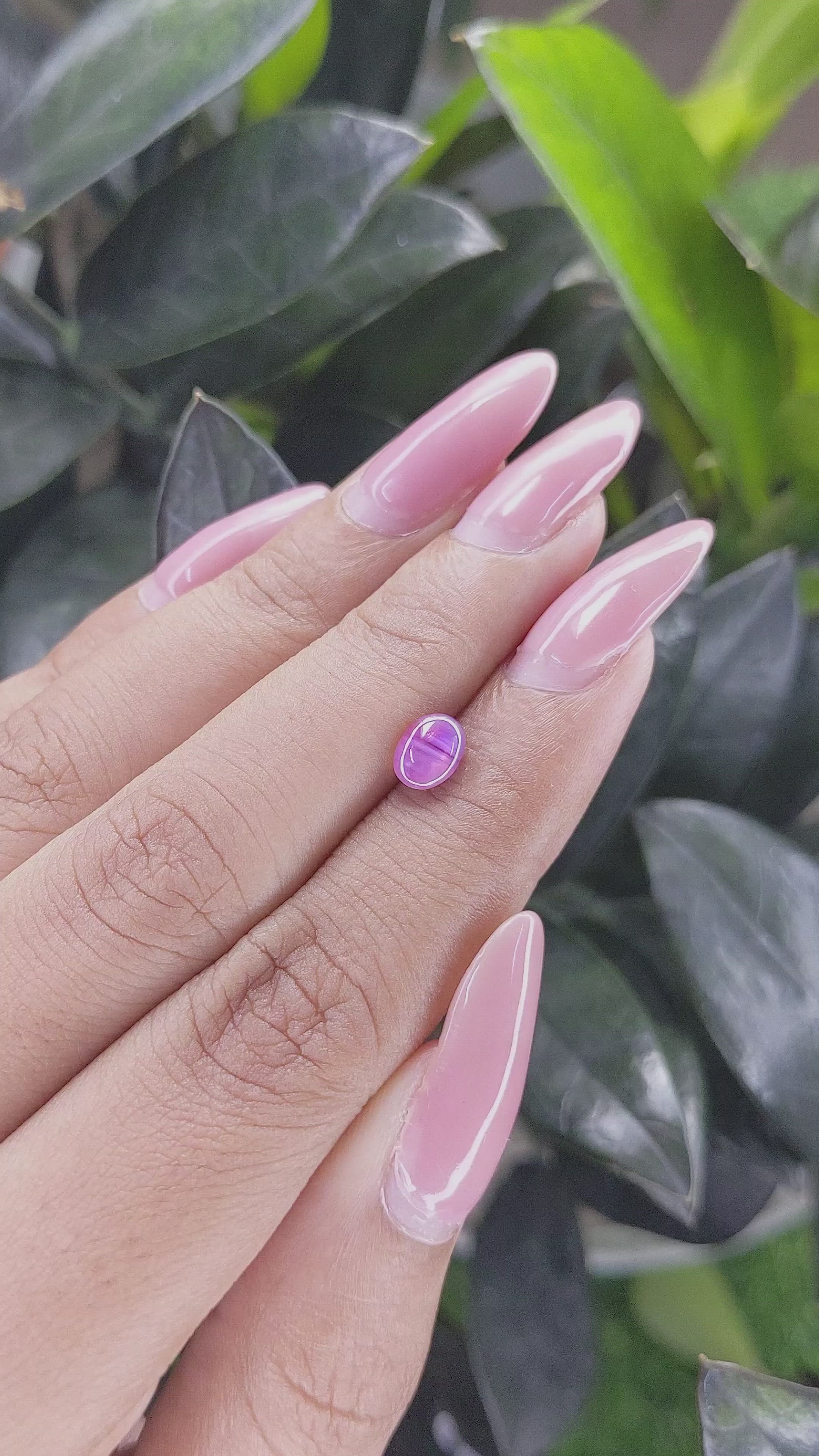 1.15 Ct. Pinkish Purple Star Sapphire from Ceylon (Sri Lanka) Size Video