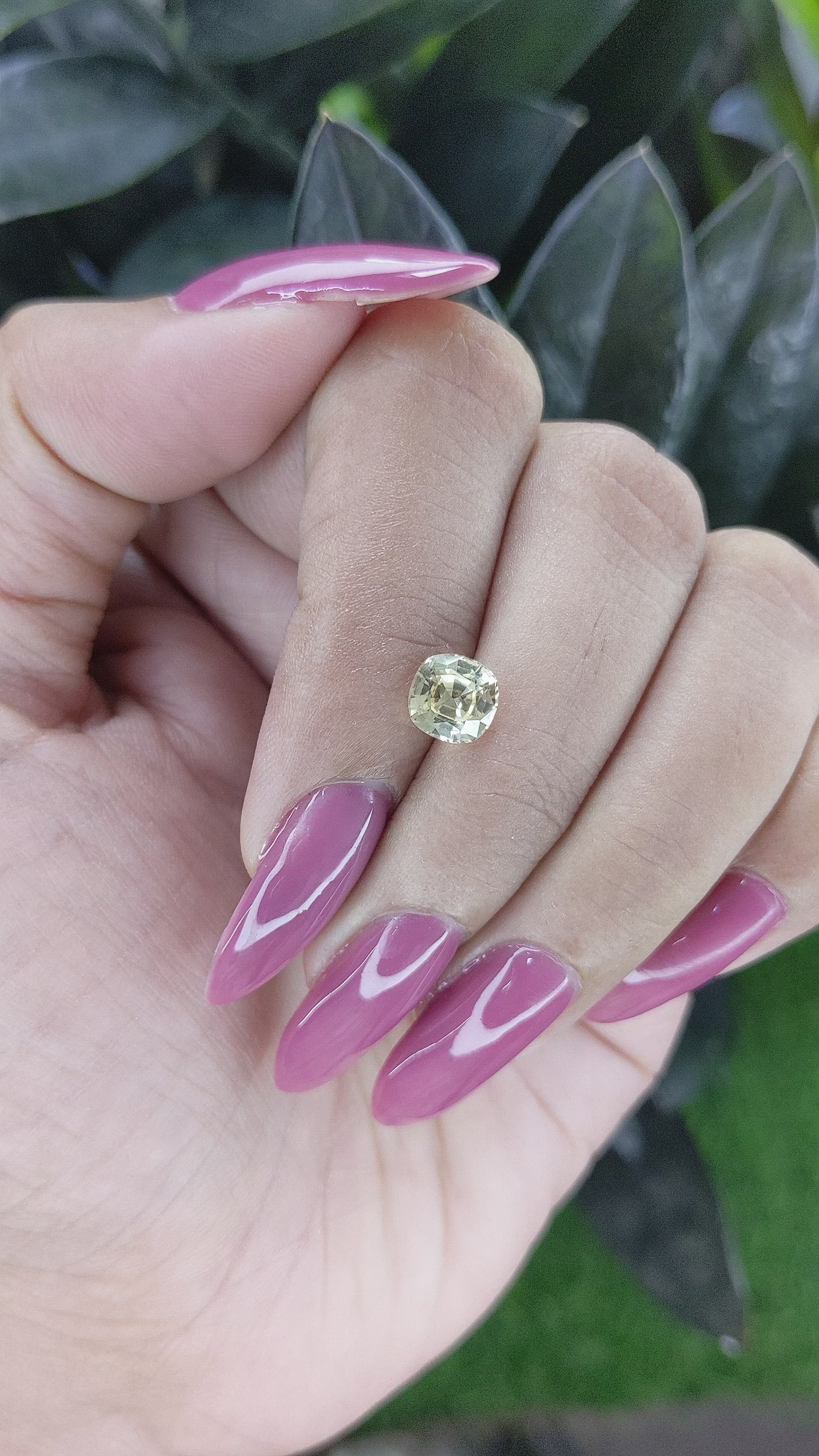 1.48 Ct. Yellow Sapphire from Ceylon (Sri Lanka) Size Video